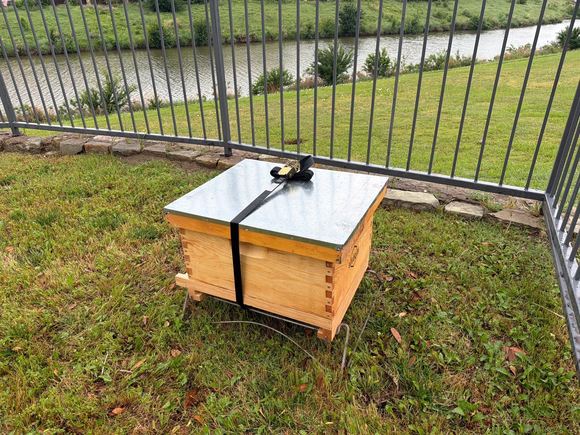 Poolside Bees at Apartment Complex by Rockwall Honey Bee Company