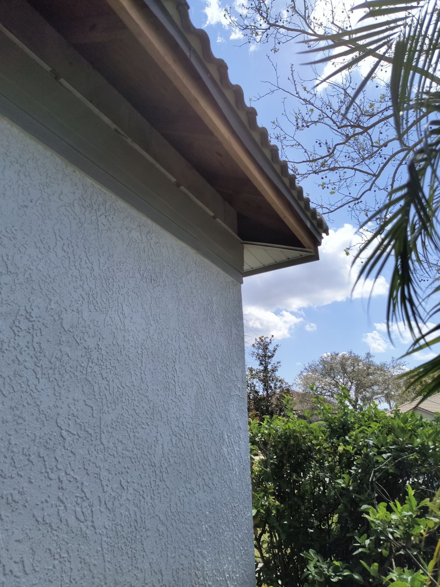 Complete Roofline Upgrade with Soffit, Fascia & Gutters Tampa FL by Gutter Professors