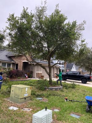 Residential | Tree Service