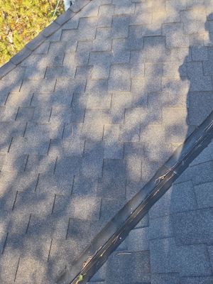 Gutter and Downspout Cleaning
