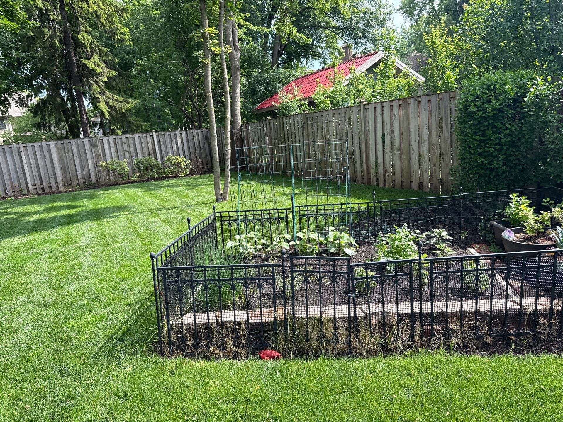 Kevin K. - Deerfield, IL by A&N