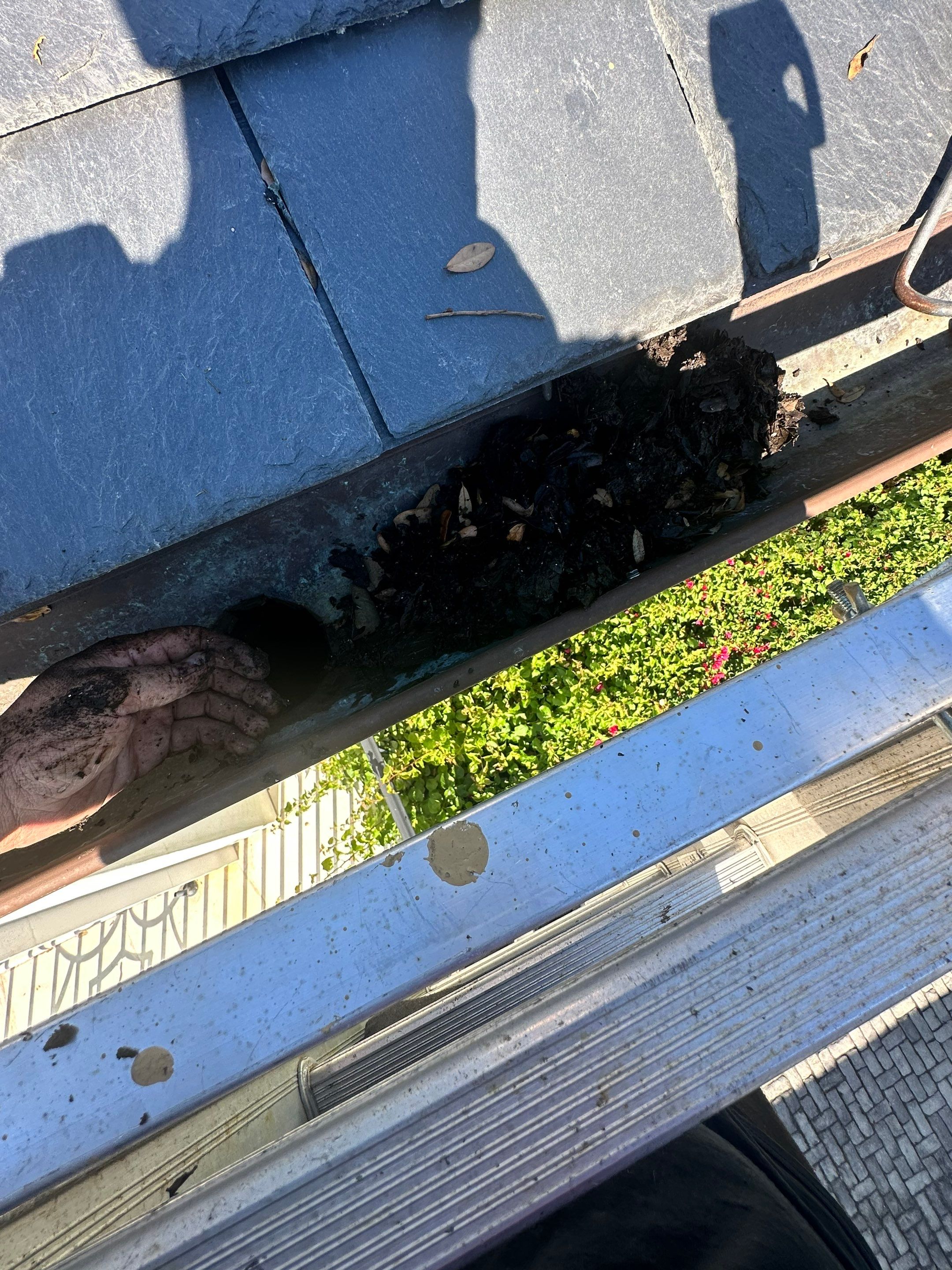 Gutter Cleaning using gutter cleaning in Sarasota FL by Gutter Professors