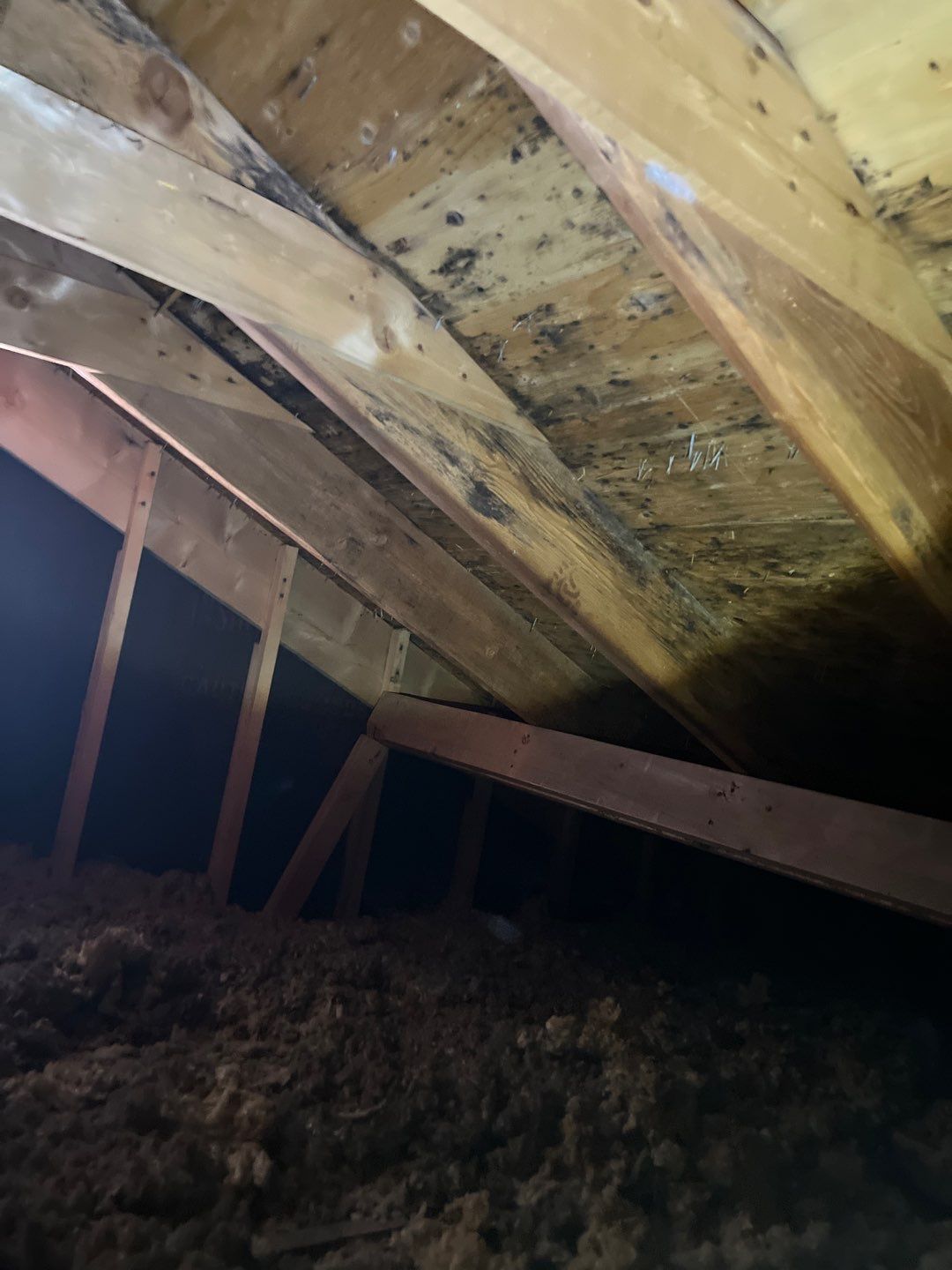 Residential Roofing Repair by Storm Guard of South Metro Denver