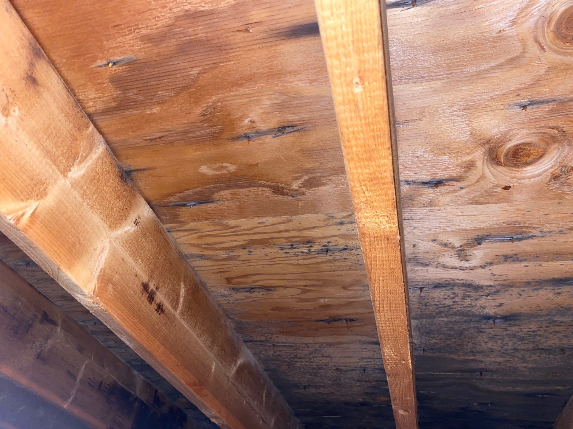 Full Roof Replacement & Farmers Porch Restoration – Asphalt + Standing Seam Metal by Mighty Dog Roofing of Greater Middlesex County