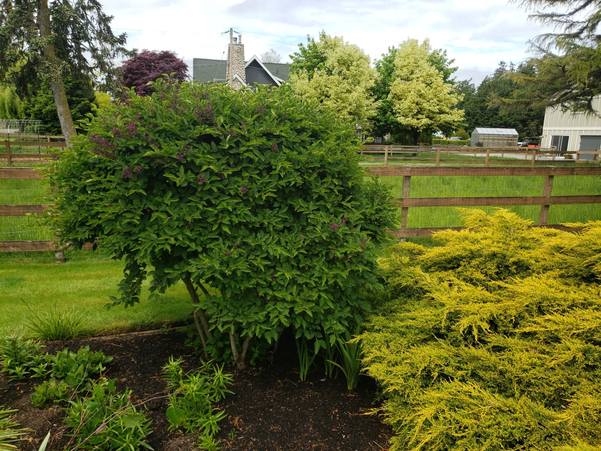 Puppy Love Farm by Habanero Garden and Exterior Care