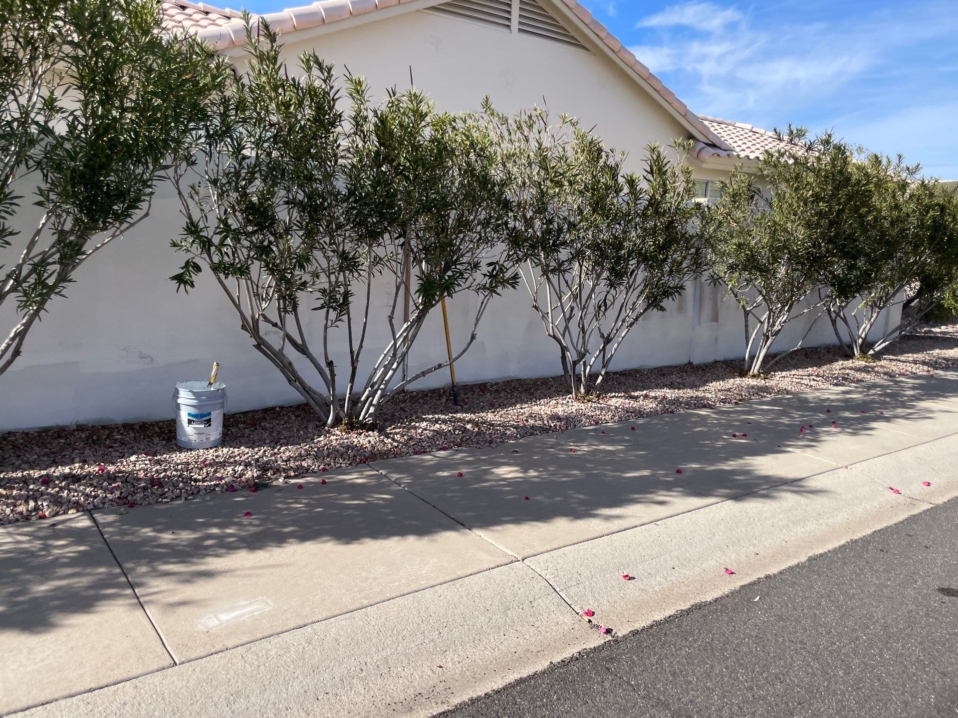Gazzo - A Beautiful Home Exterior Transformation in Scottsdale, AZ with C&M Primer and Sherwin Williams Paints by Double G Painting Contractors, LLC