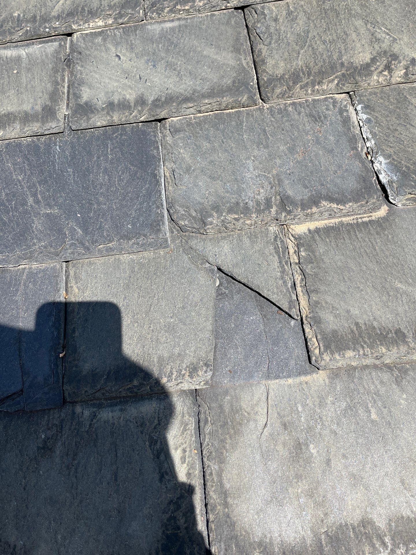 Arlington: Buckingham Slate and Carlisle Syntec TPO Roof by RM Banning, Inc.