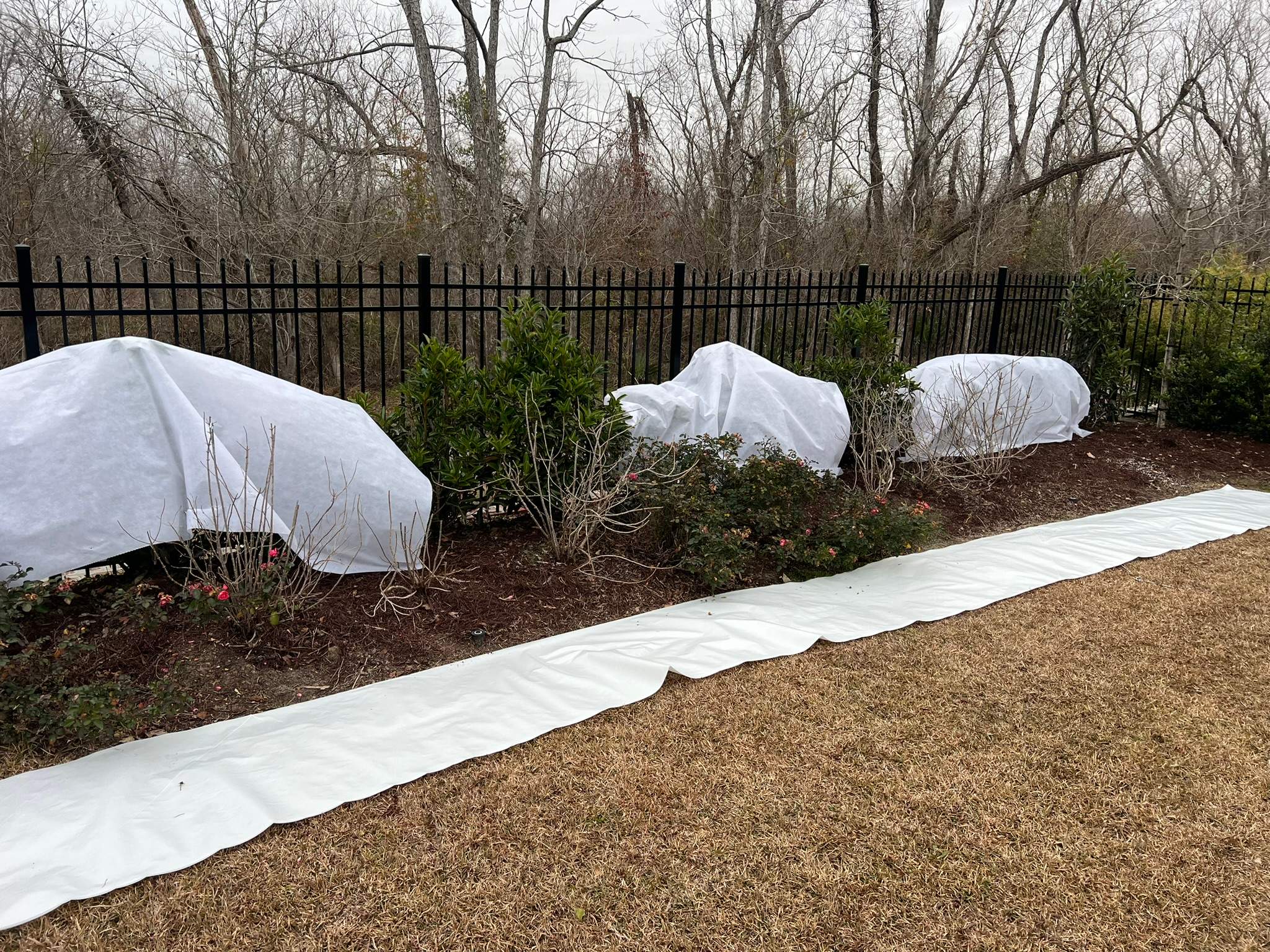 WINTER SERVICES :  using FROST BLANKET by CutScape, LLC.
