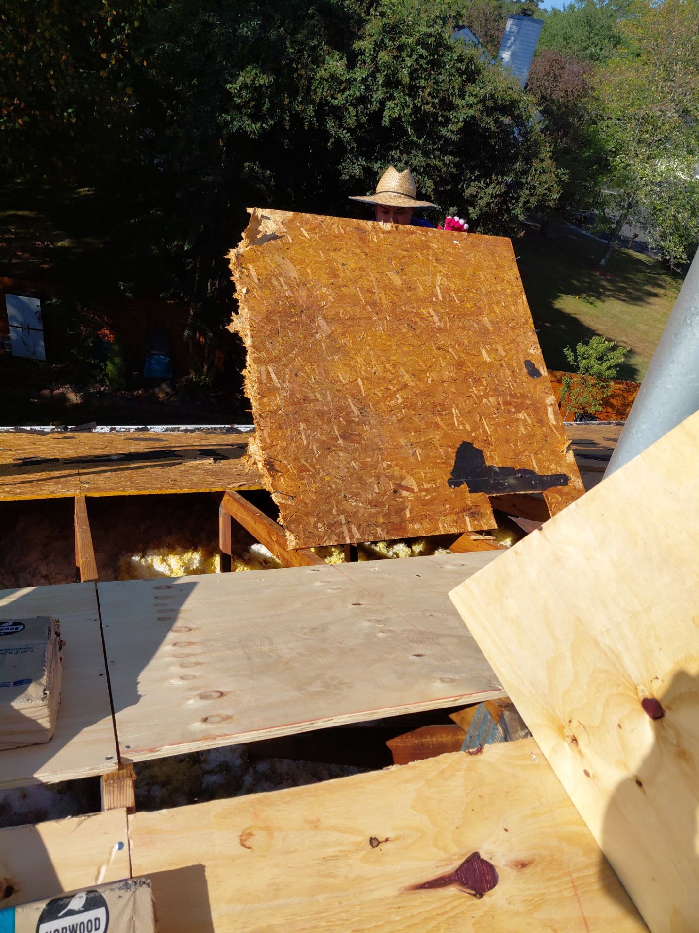 Gainesville: Residential Roof Replacement with CertainTeed Landmark in Moire Black  by RM Banning, Inc.