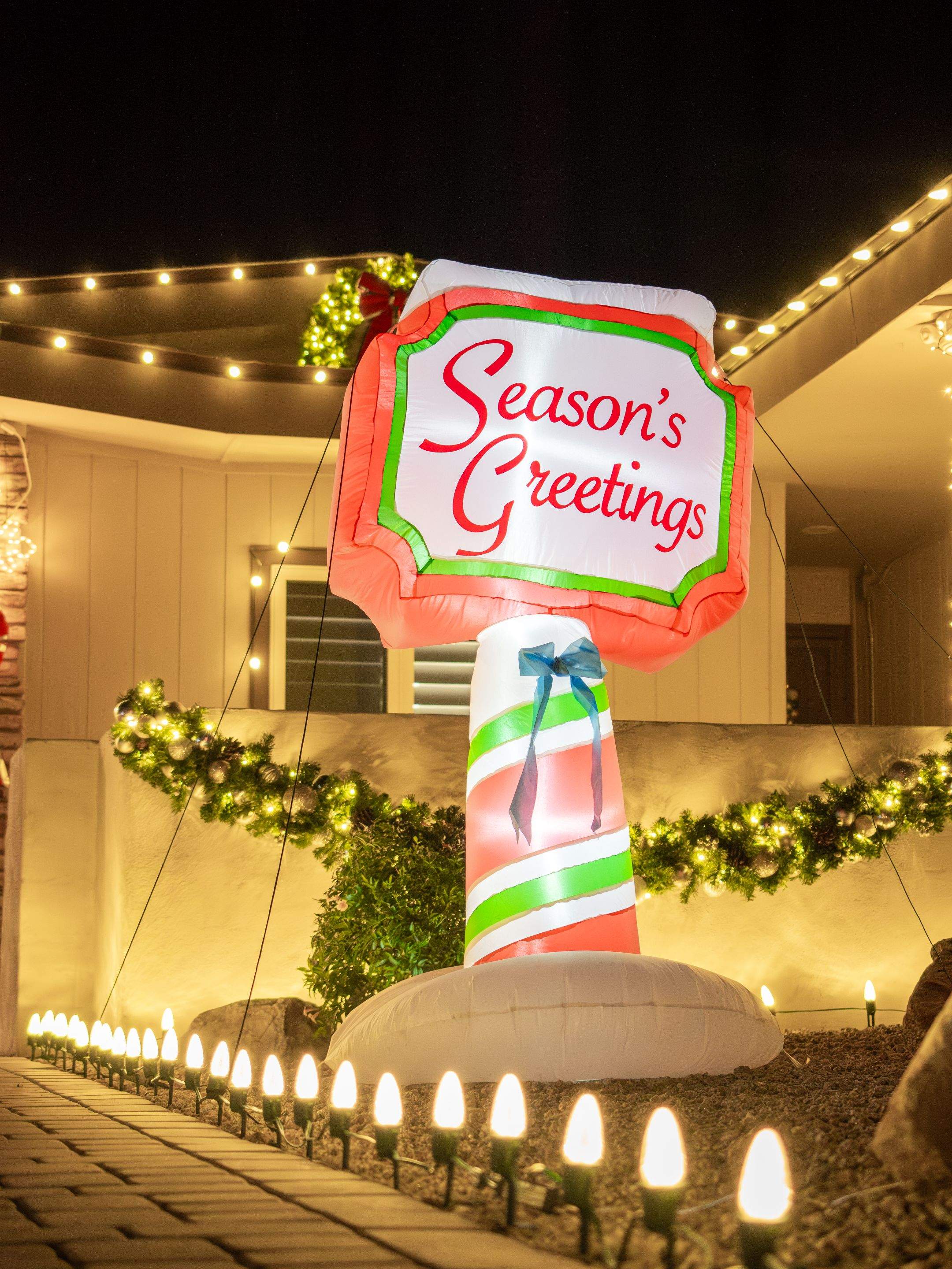 Cactus Christmas Lights featured photo.