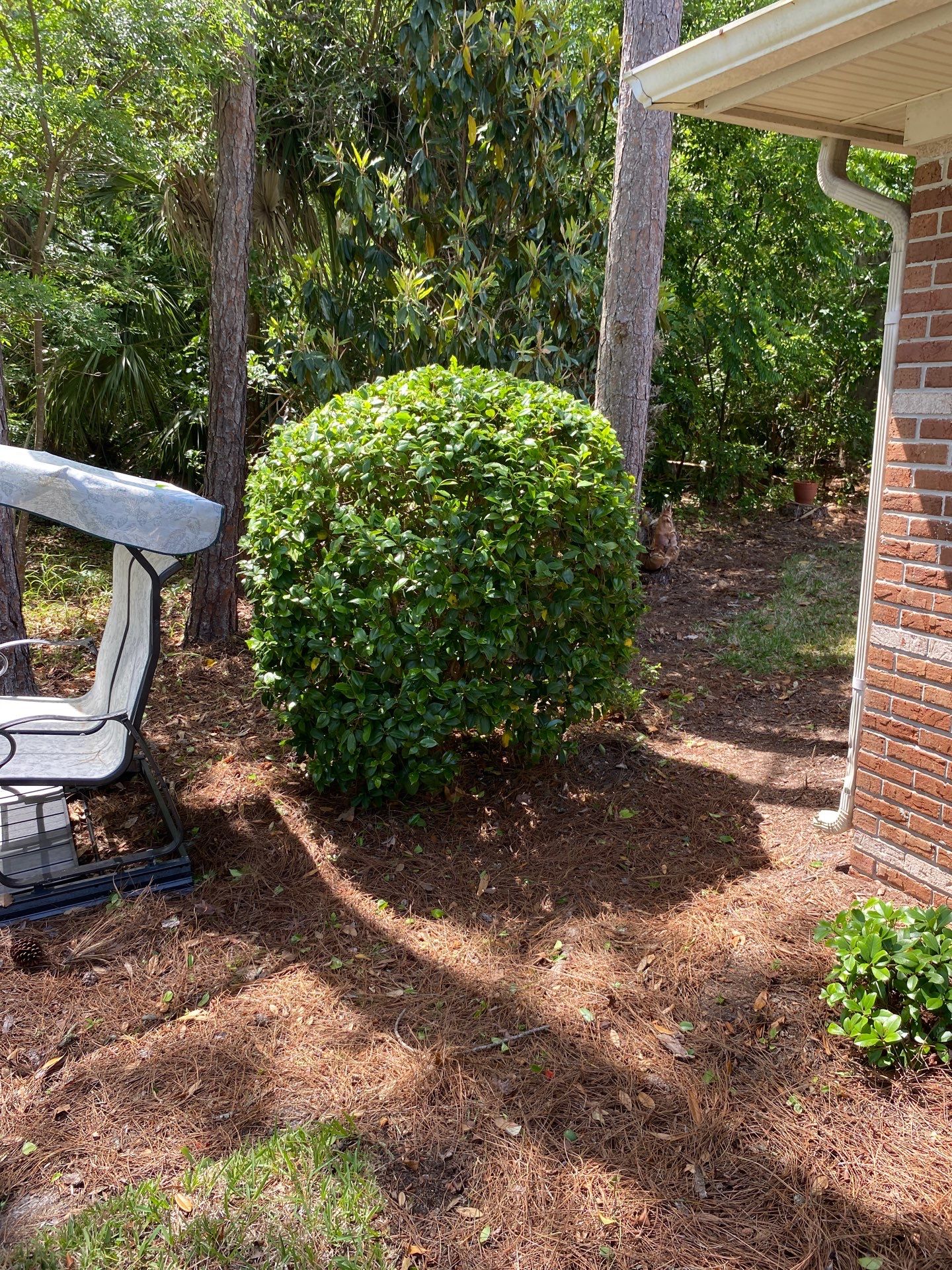 Residential | Volunteer Clean-Up by ProGreen Services