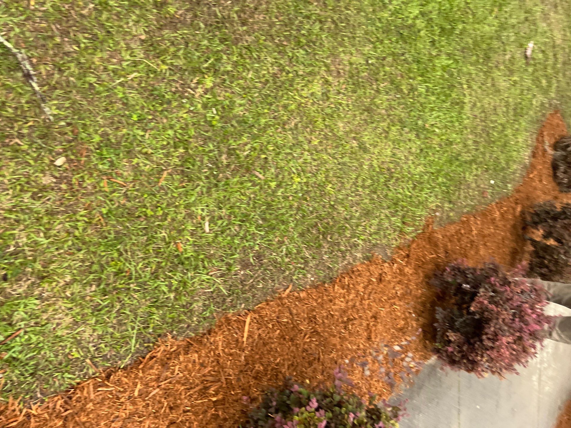 Landscape Install | Keystone Heights HS by ProGreen Services