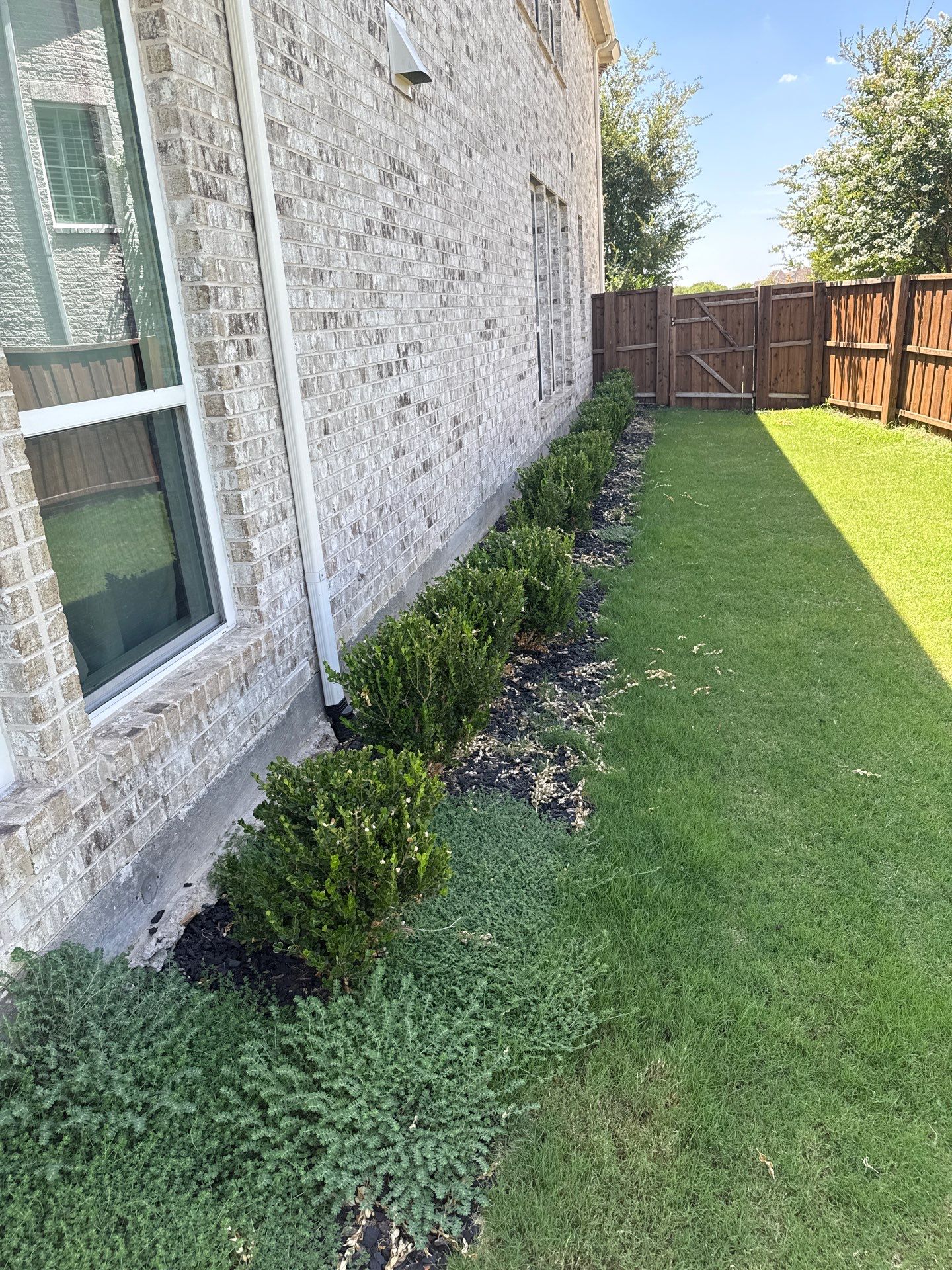 Project in Prosper by Turf Concepts