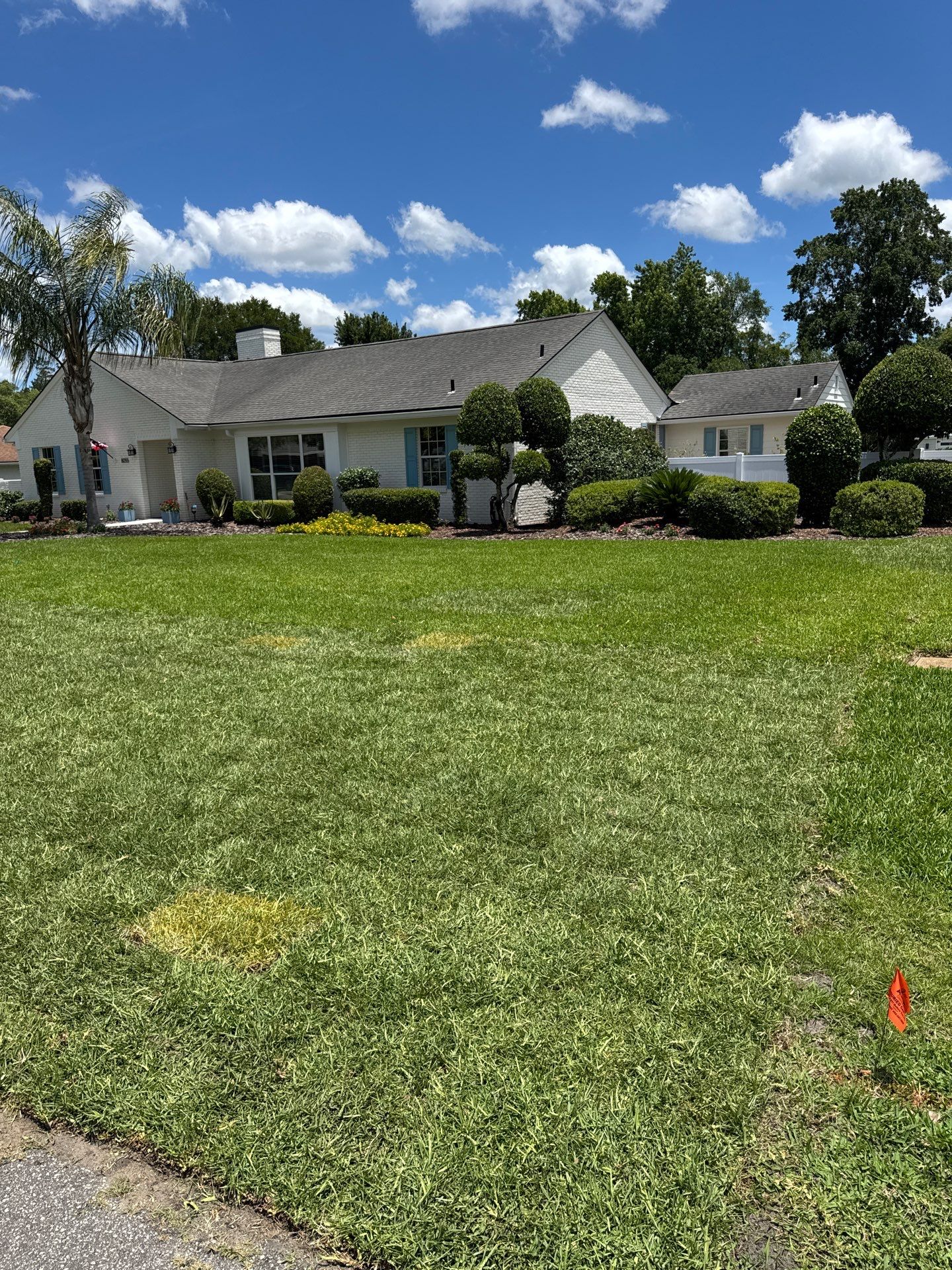 Deerwood Resident | Sod Install by ProGreen Services