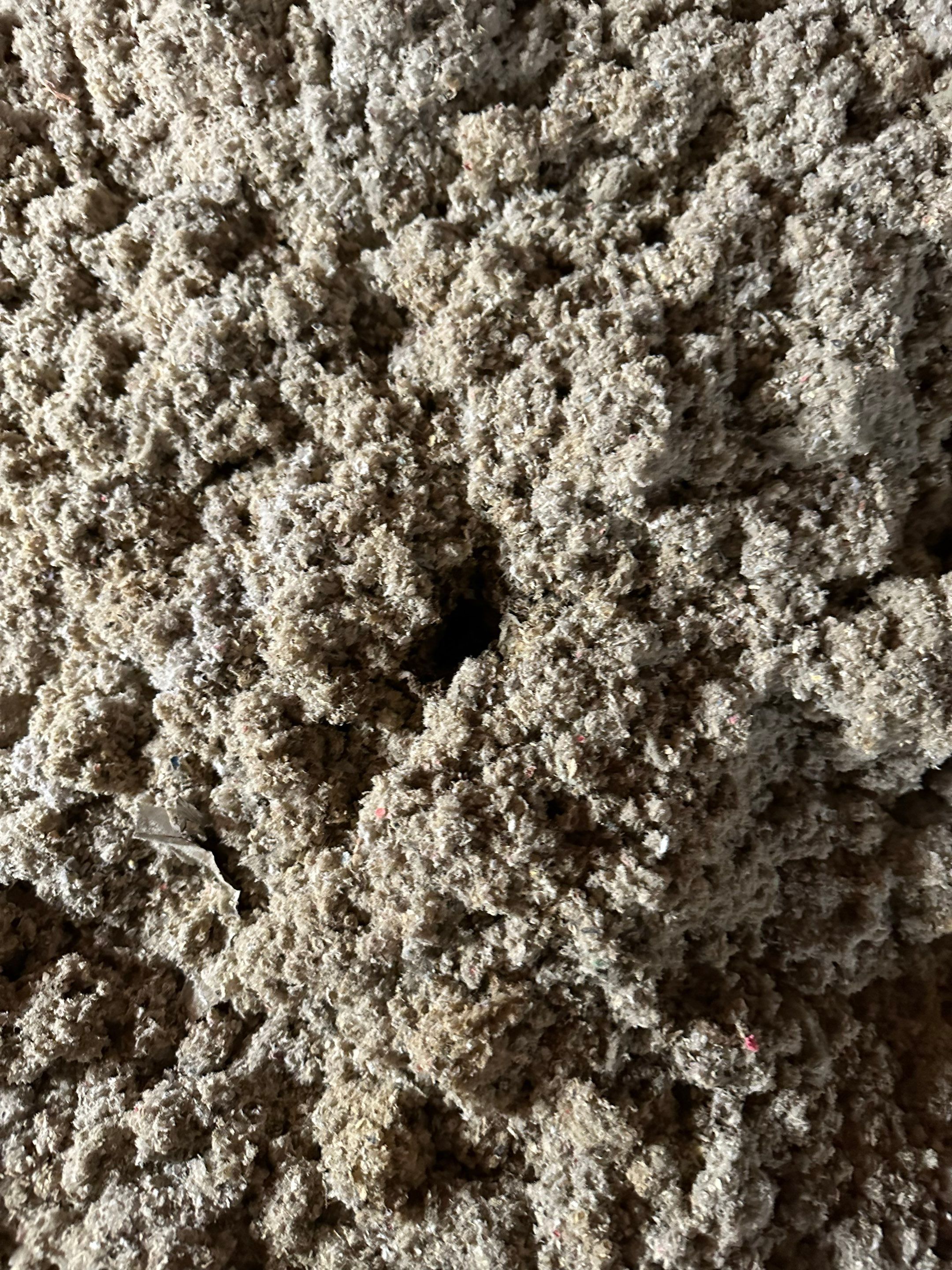 Mold in Crawl Space in Broomfiled, CO by Alpha Restoration 