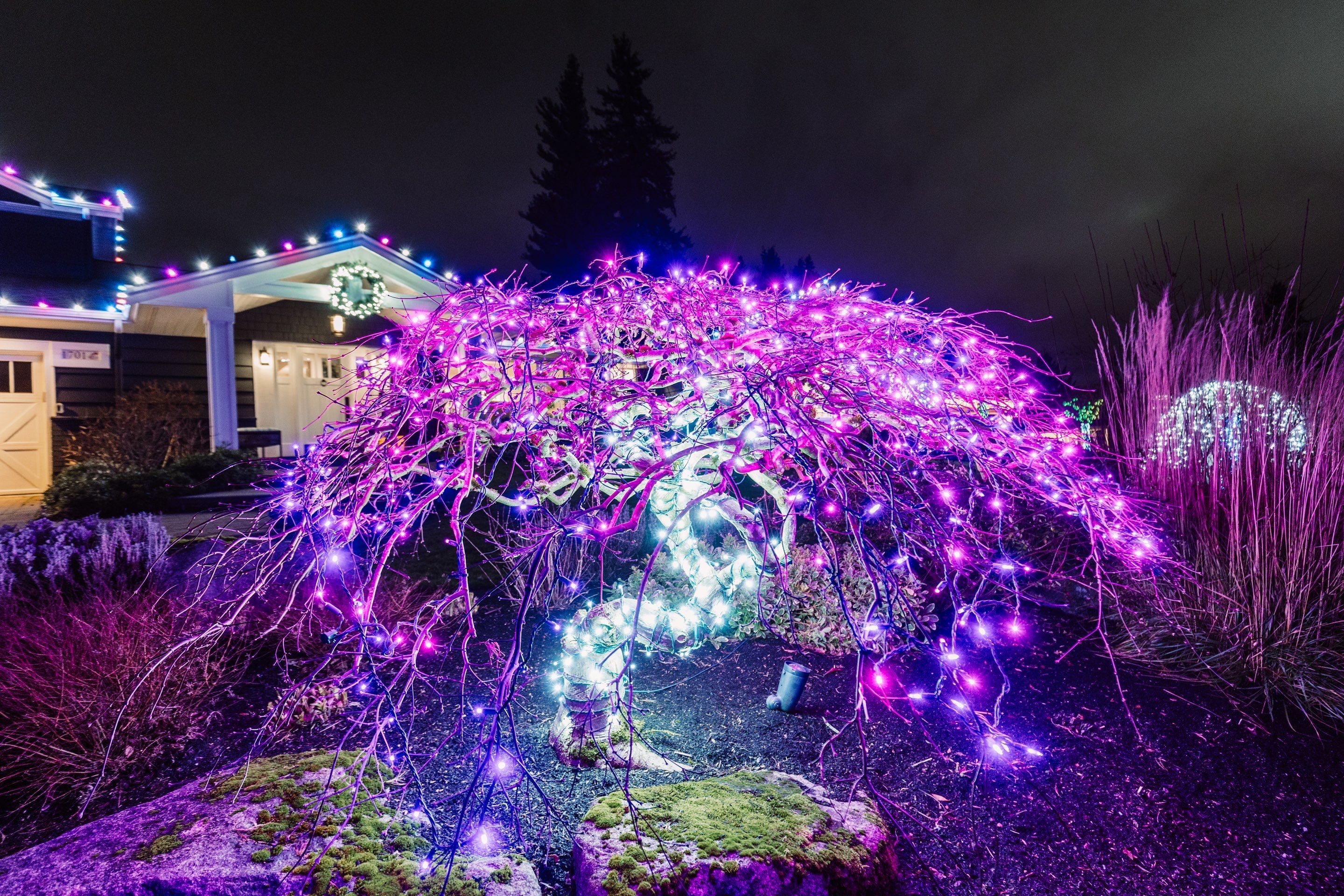 Holiday Light Gallery by WindowWorks