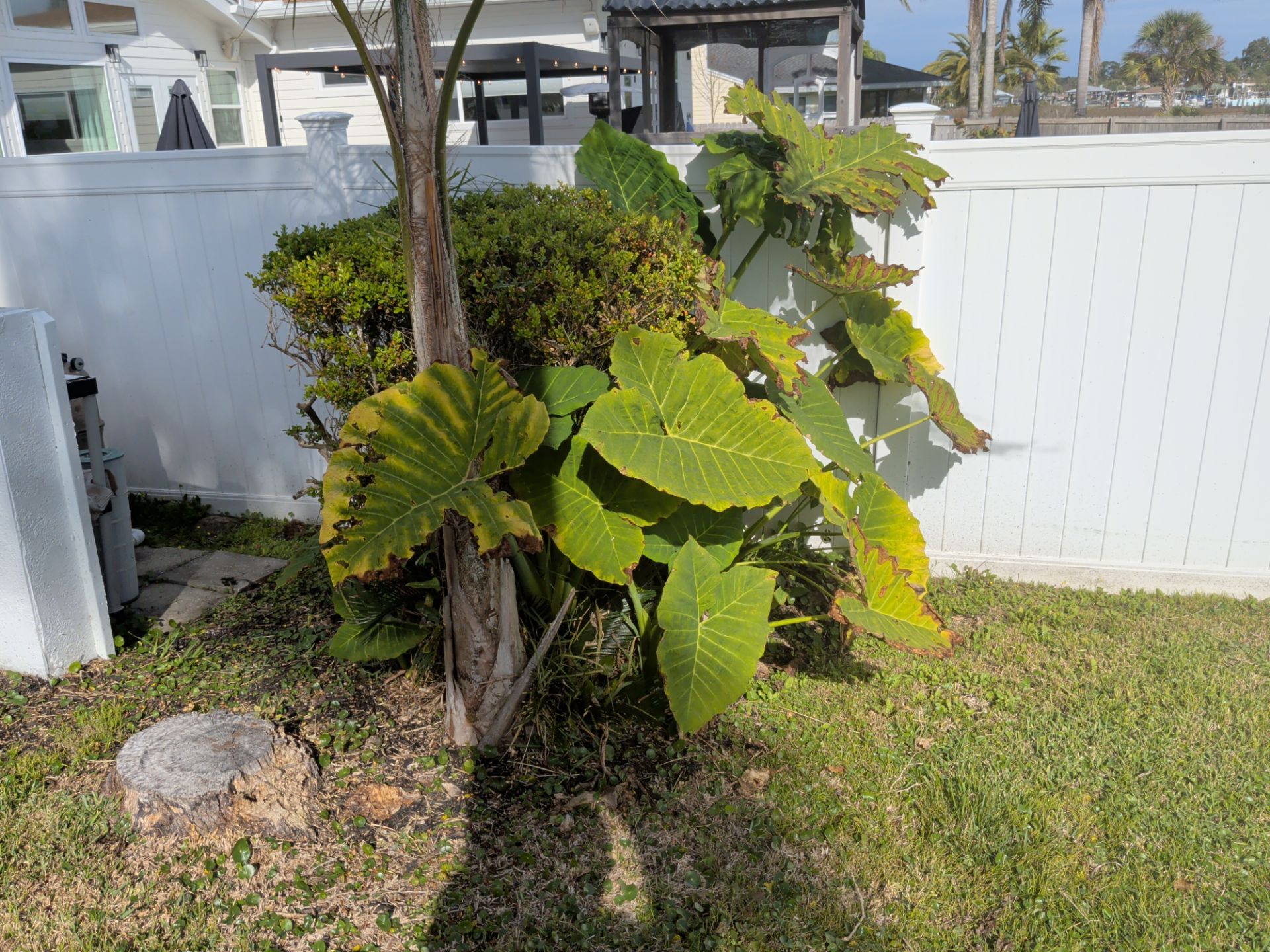 Flower Bed & Property Cleanup San Pablo area — Jacksonville Beaches, FL by Harmoni Home Services