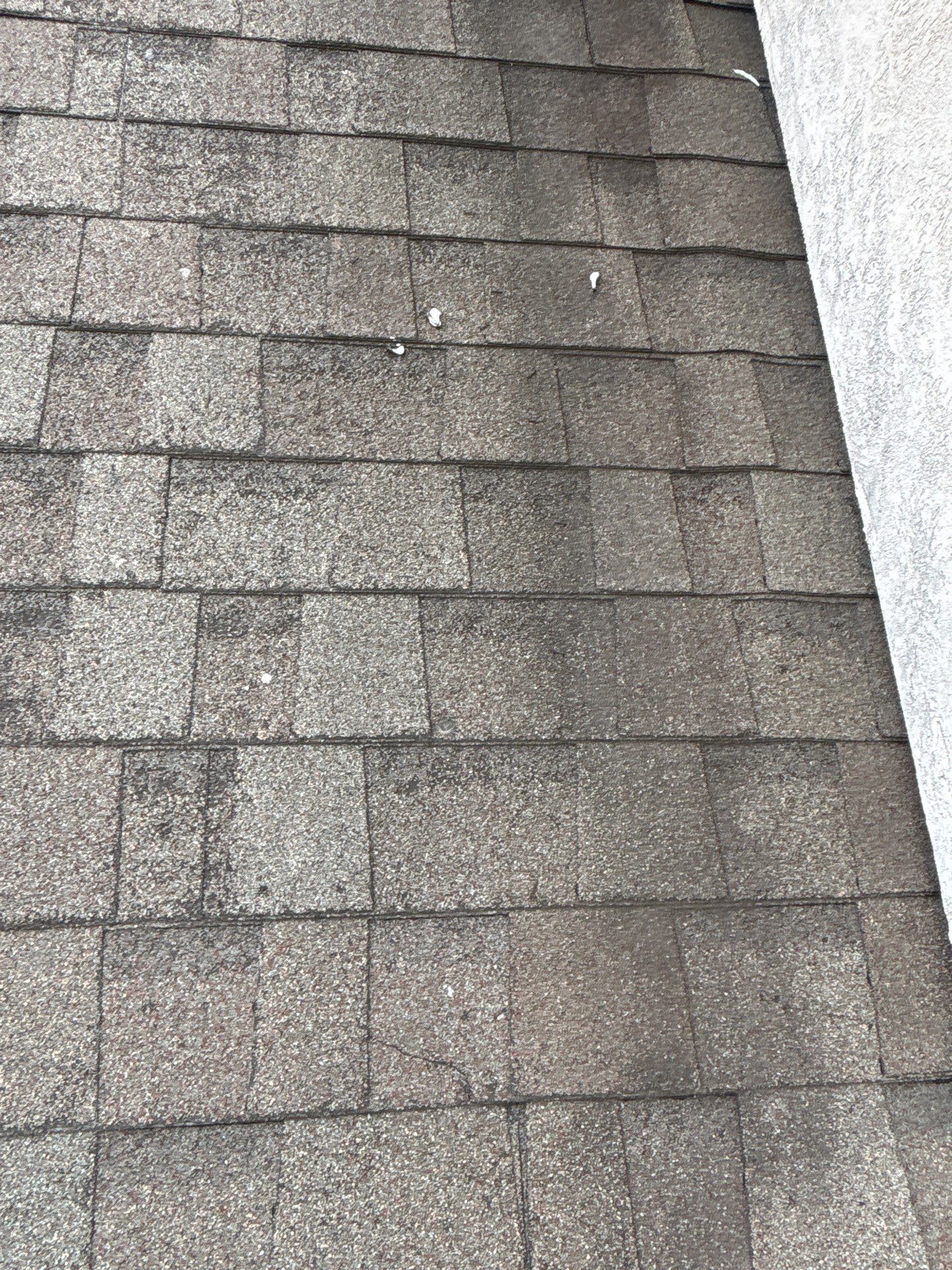 Roof Repair Richmond by Roof Repair Company