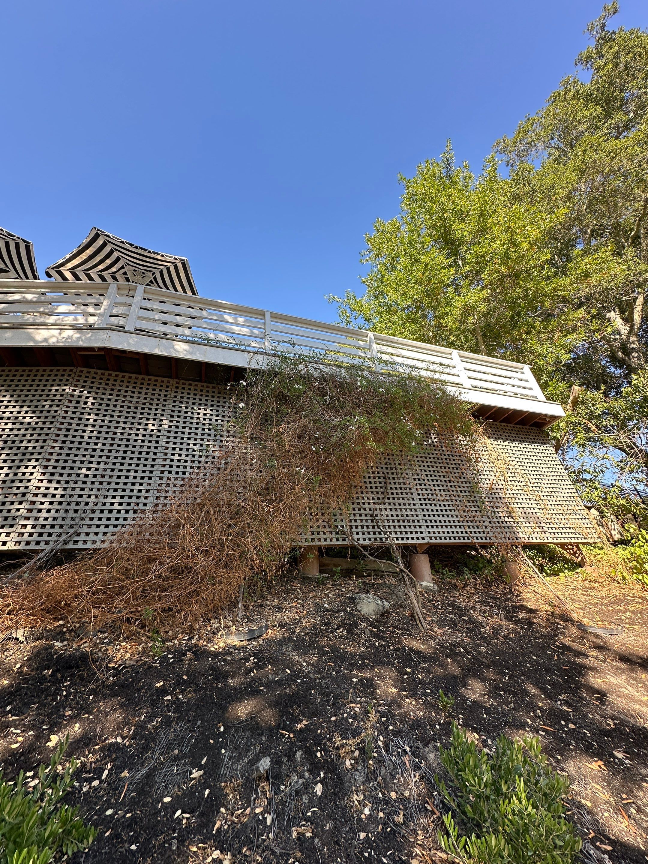 Deck Repaint using Sherwin-Williams  by Herrera’s Bay Area Painting inc.