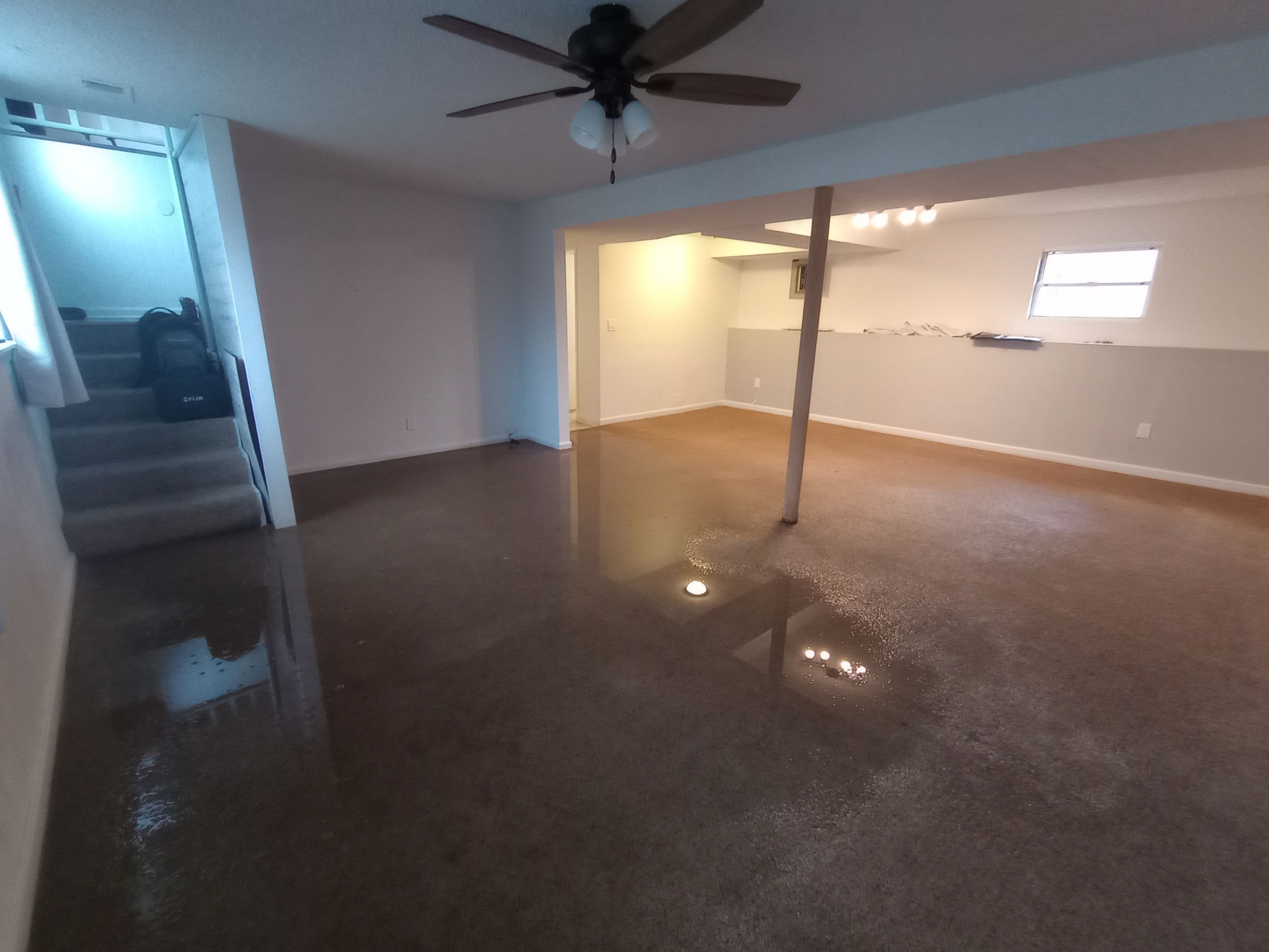Flooded Basement Water Mitigation by ANR Restoration