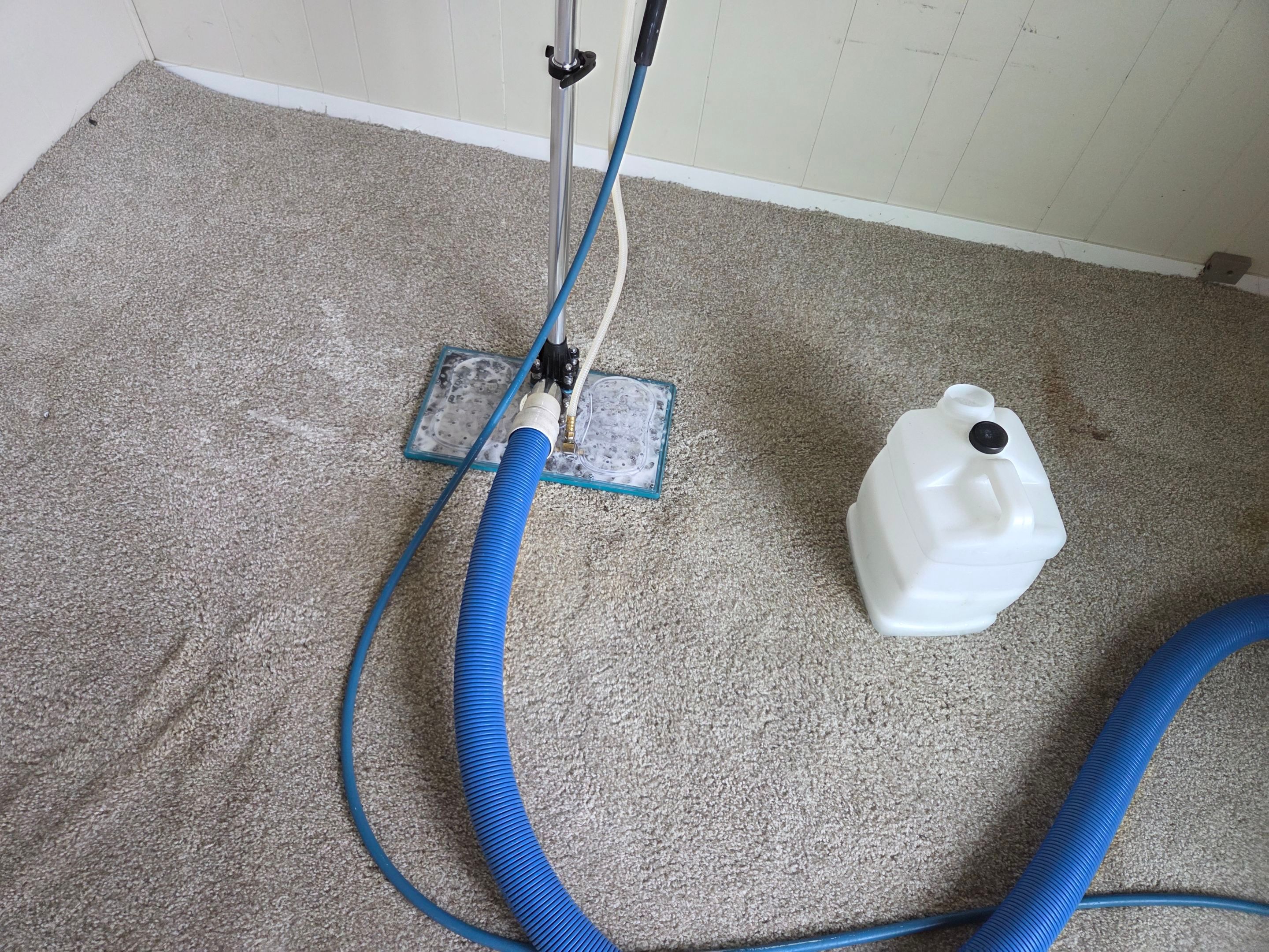 Pet Urine Pad Removal, Extraction and Cleaning by Ardent Carpet Restore LLC