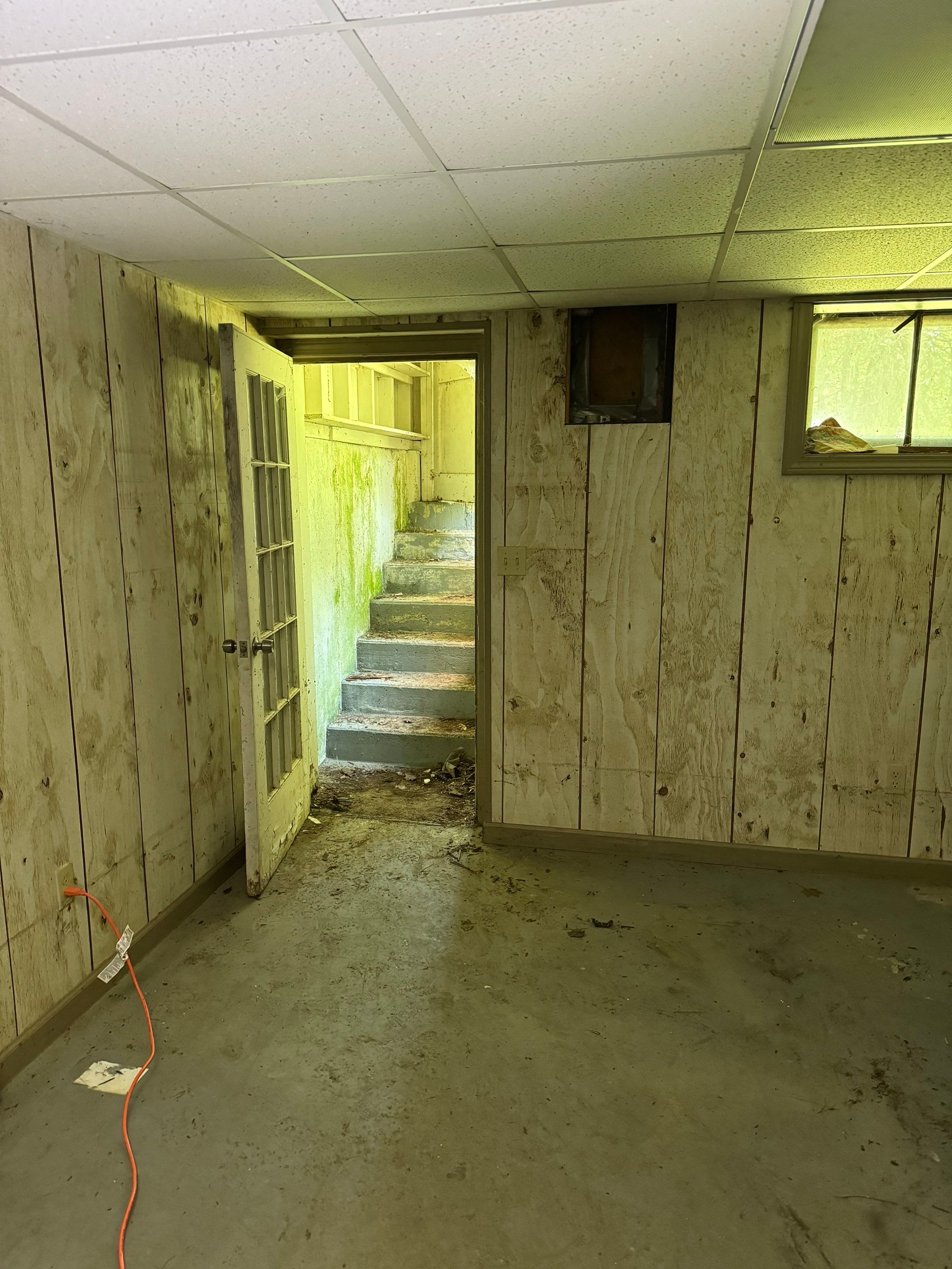 Basement Mold Remediation by Home Guarantee, LLC