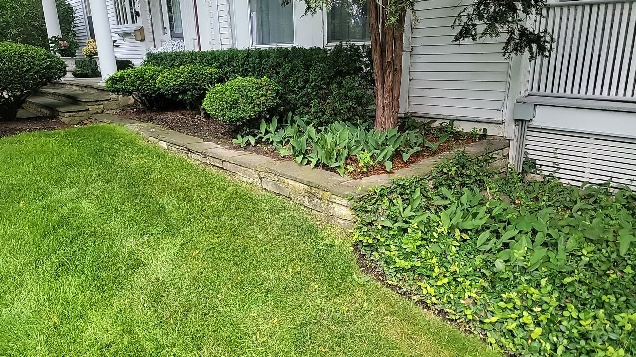 Housewashing  using Algaecide, soft wash soap by Northern Power Washing LLC.