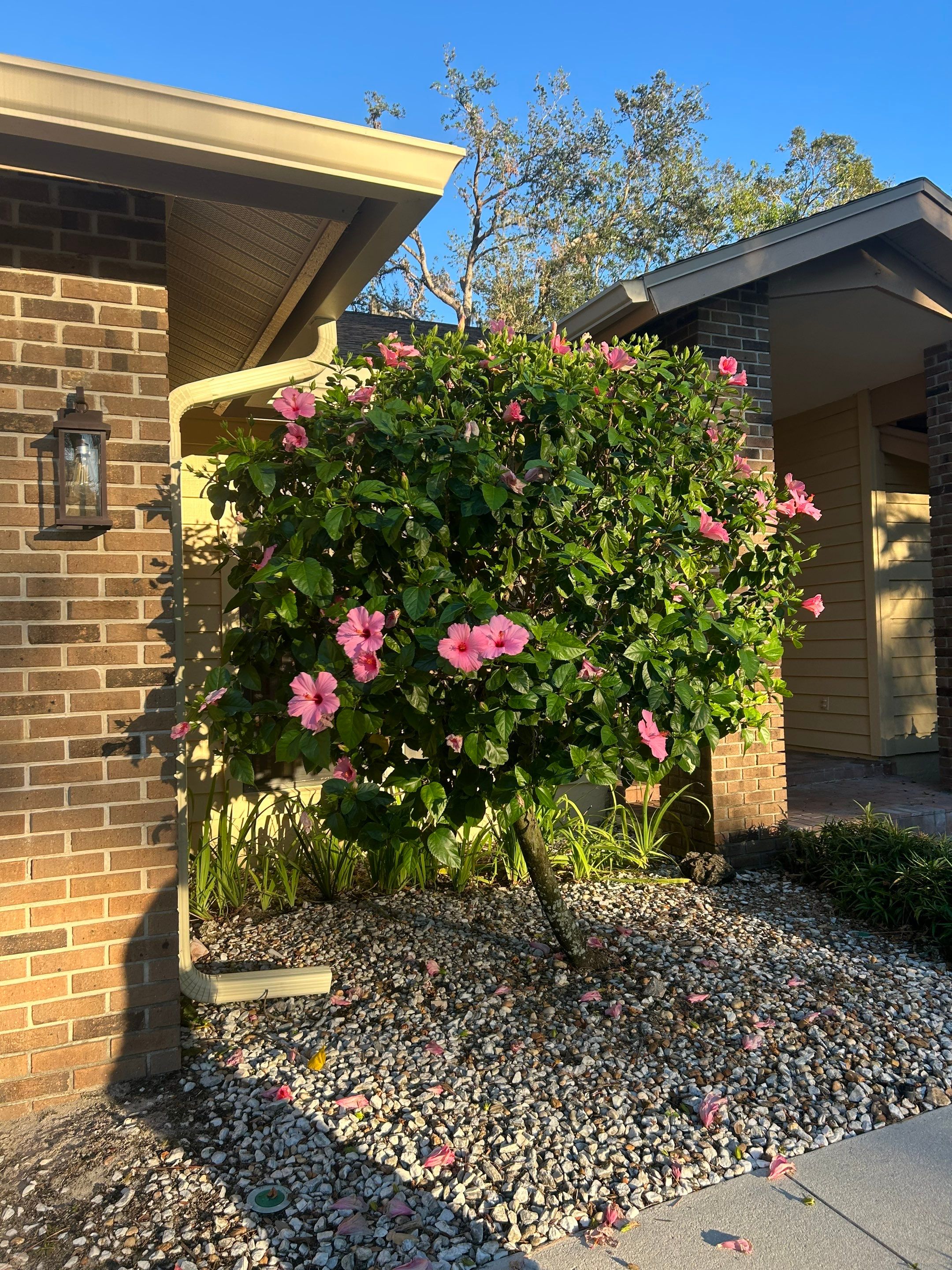 Gutter Guard Installation + New Downspouts in Sarasota FL by Gutter Professors