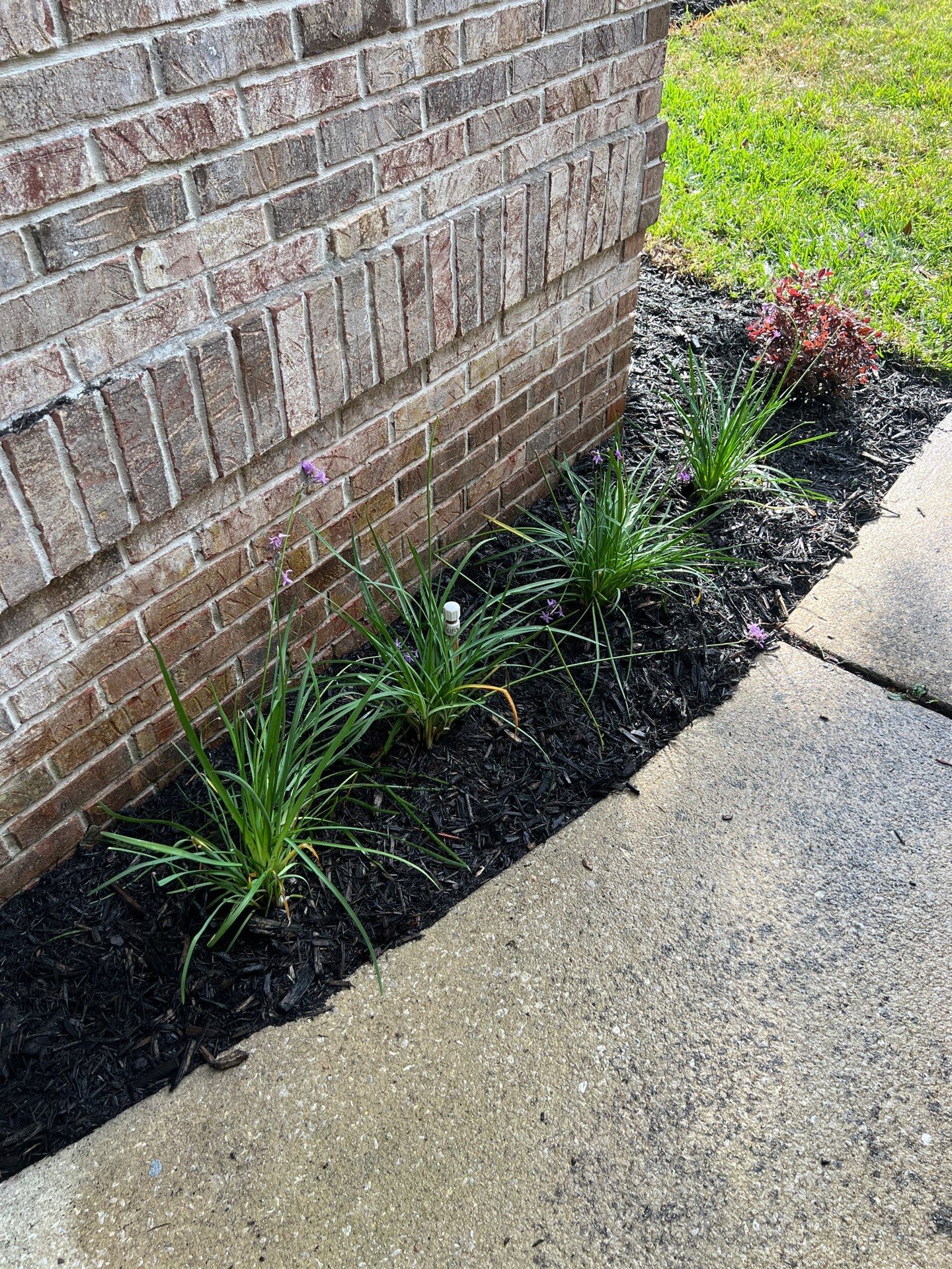 Landscape Install | Residential by ProGreen Services
