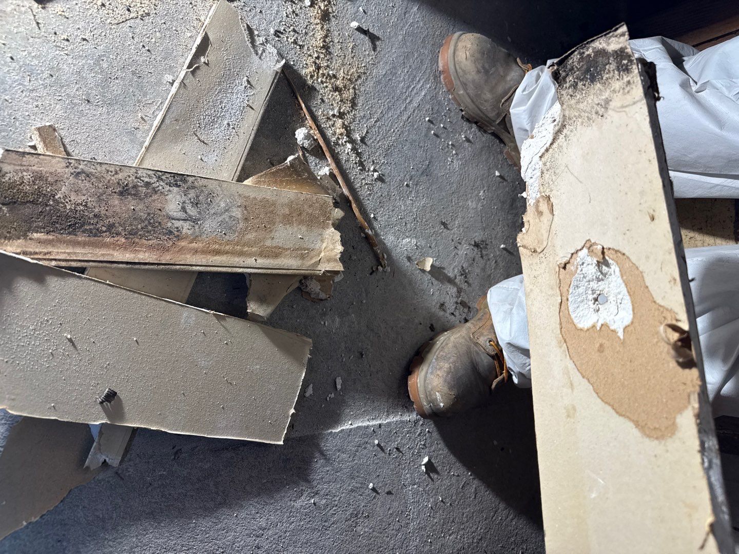 Rehoboth Beach VFW Indoor Air Restoration & Basement Mold Remediation by Healthy Home Solutions