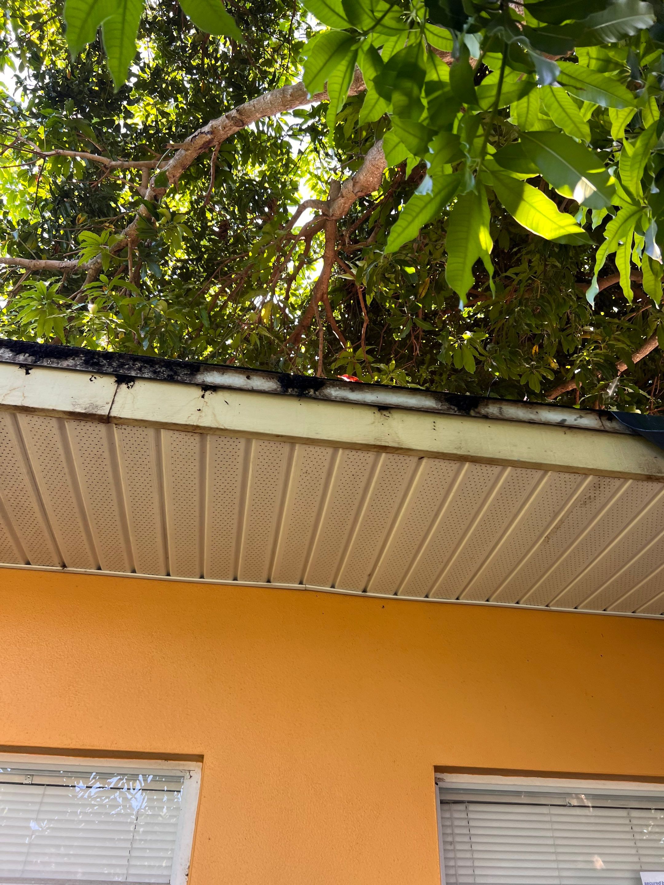 Project in Largo 33774 by Mitchell Roofing Company LLC 