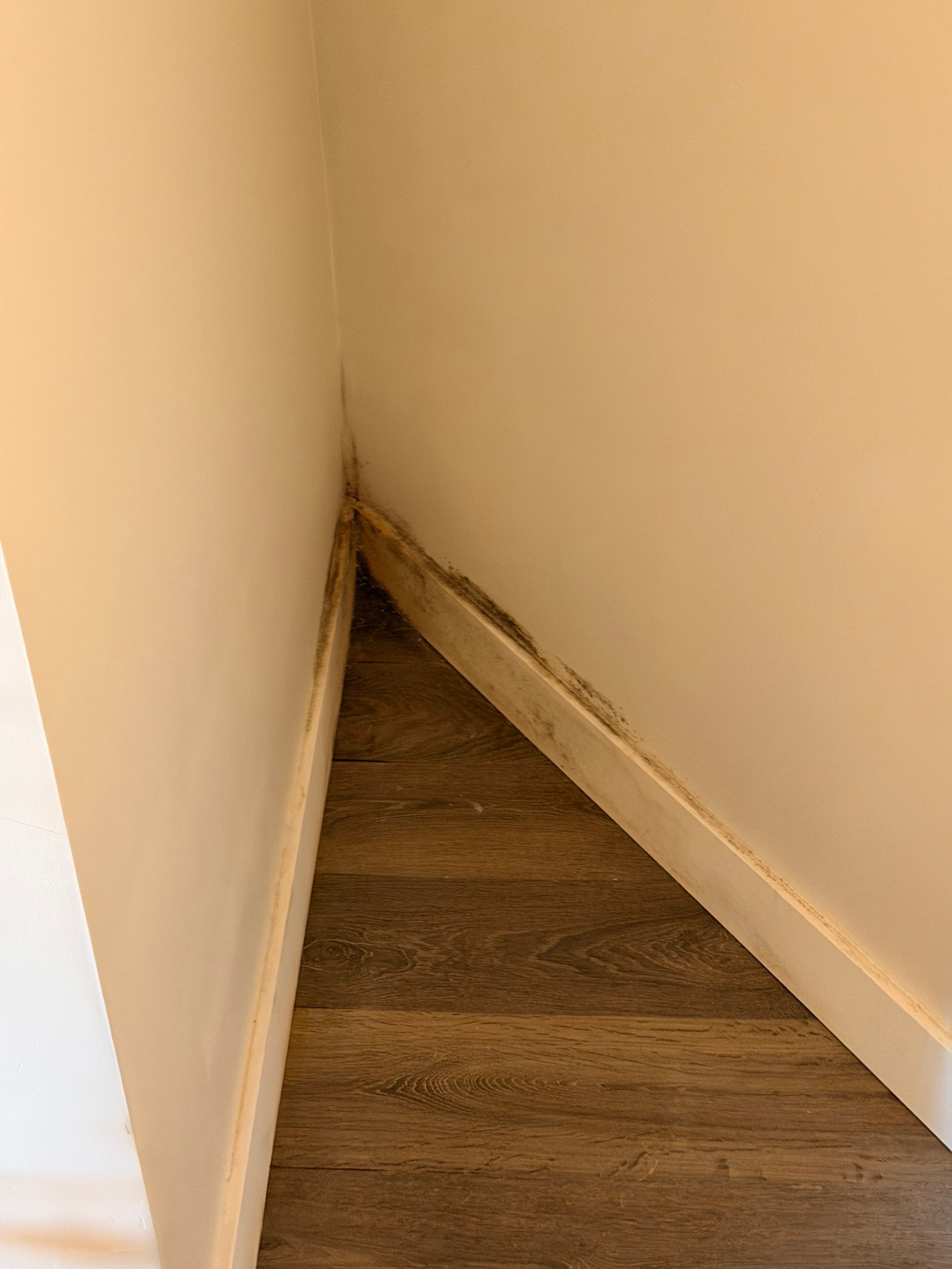 Mold Remediation & Flooring Restoration After Moisture Barrier Failure by YVR Construction Group