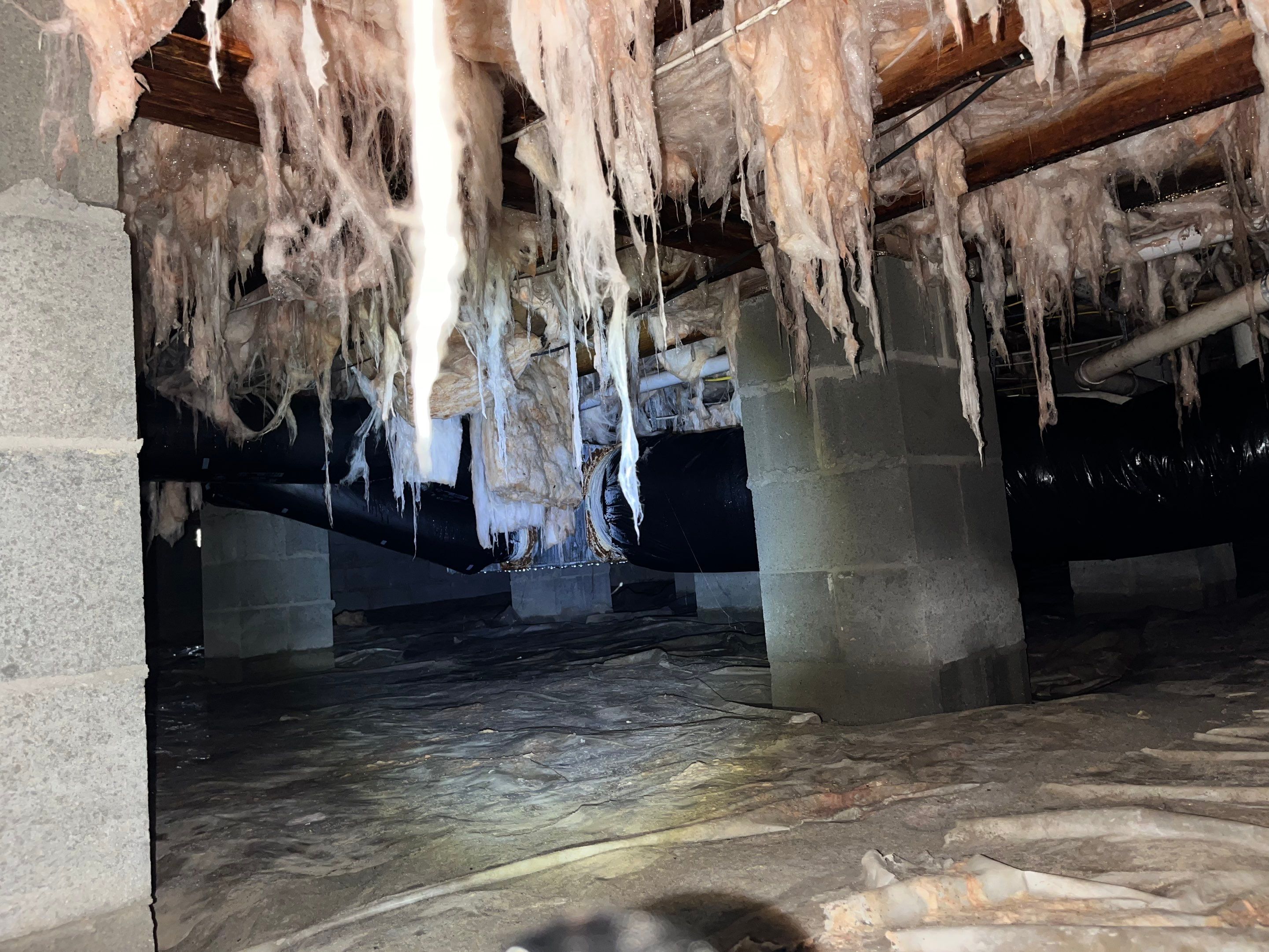 Premium Encapsulation with Bora-Foam using Bora-Foam Insulation by Impact Crawlspace