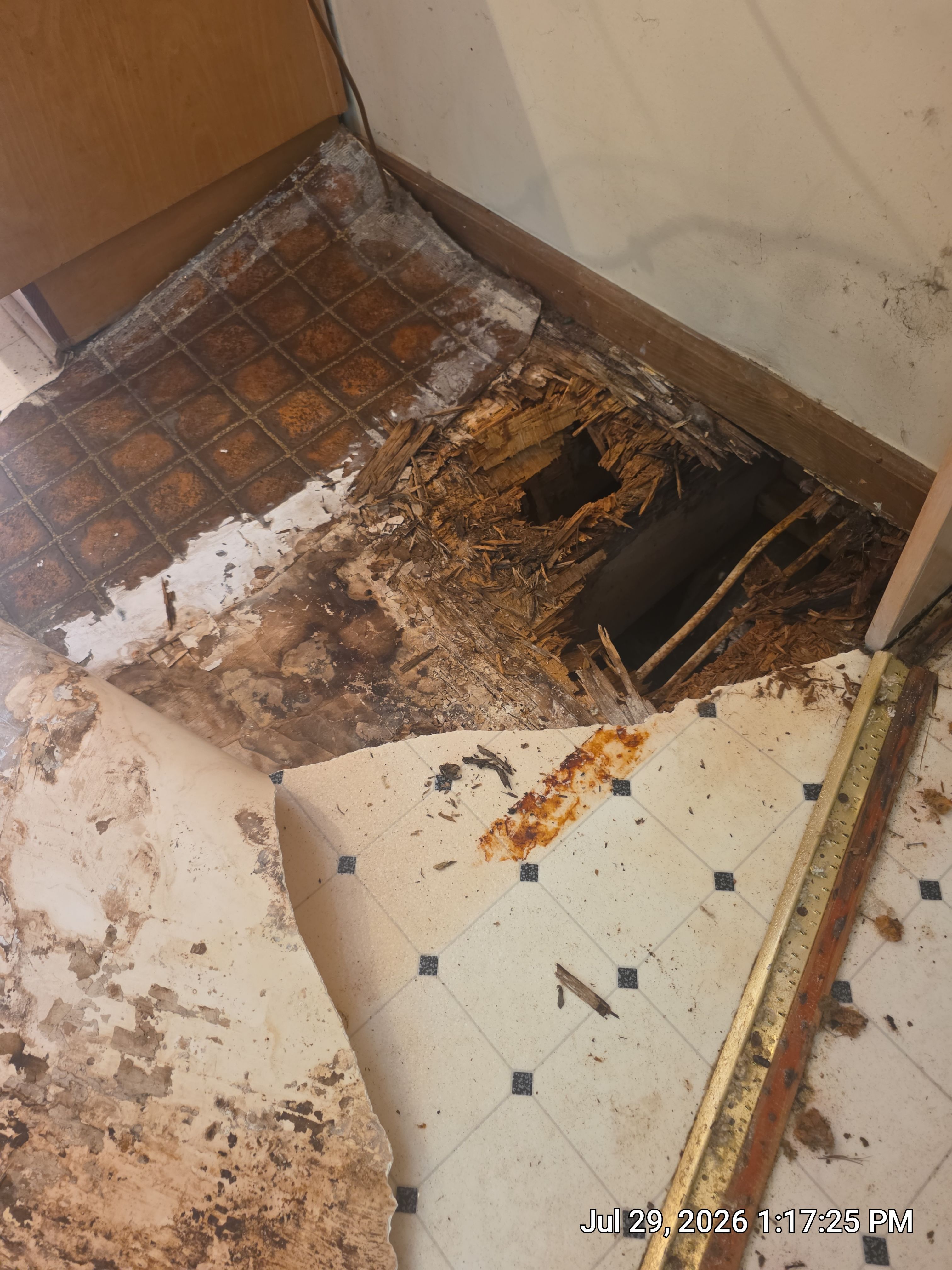 Full Home Subfloor Restoration and Luxury Vinyl Flooring Installation by Flooring Xpress CO
