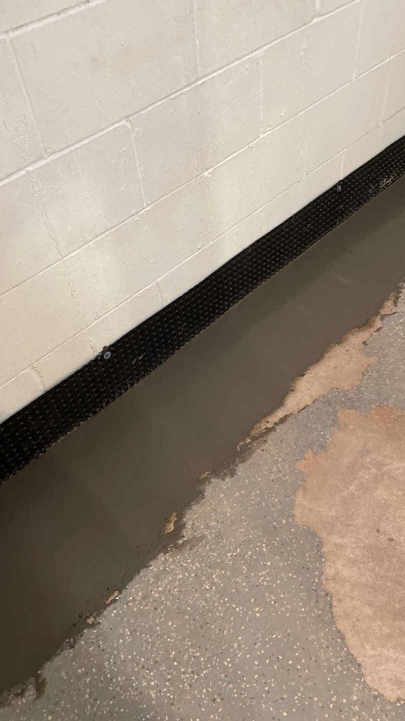 Basement Waterproofing in Edina by Waterproofing Northeast