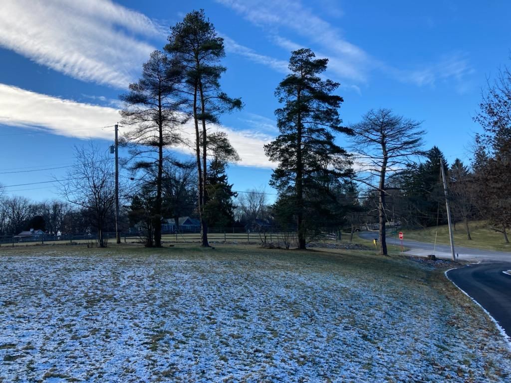 Tree Removal using Tree Removal by Mike Jones & Sons Tree Service LLC 