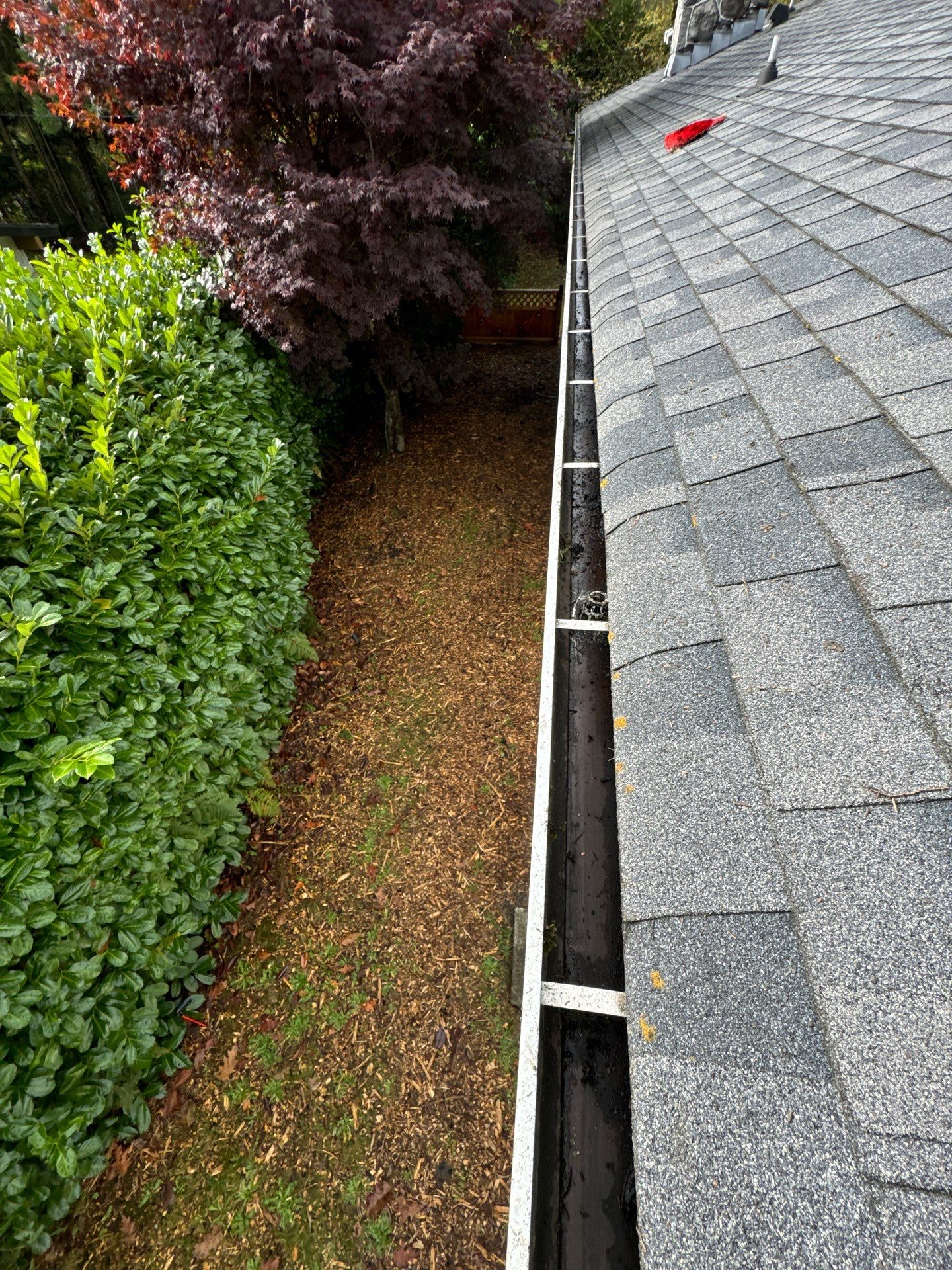 Gutter Cleaning- Taylor Way by YVR Construction Group