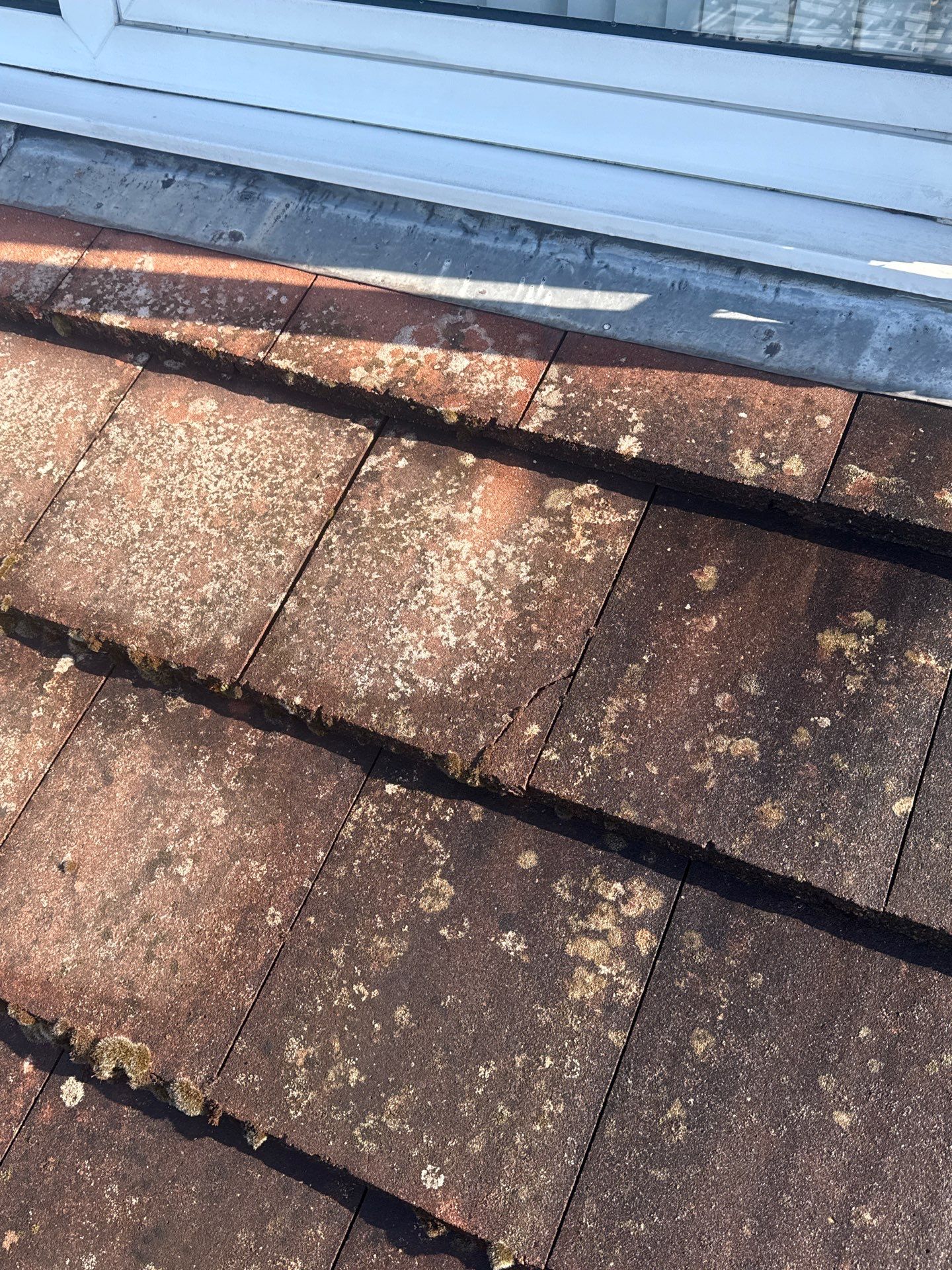Roof Clean - Biocide Treatment using Honda 15lpm Low Pressure Washing Machine by Ges Exterior Cleaning ltd