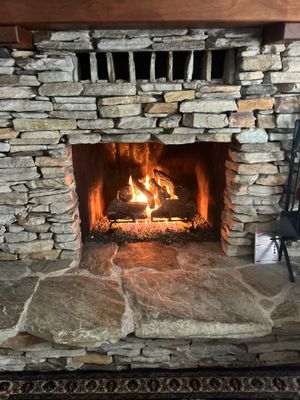 Vented Gas Log Set