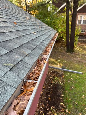 Turtle Shell gutter protection installation in Winfield, IL 60190, photograph 5