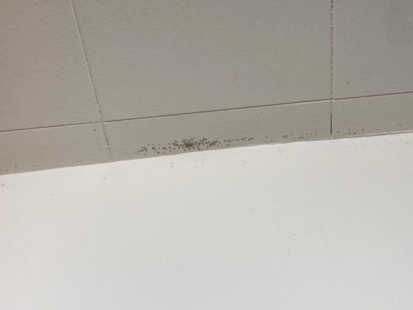 Water Damage in Bathroom by Accountable Home Services