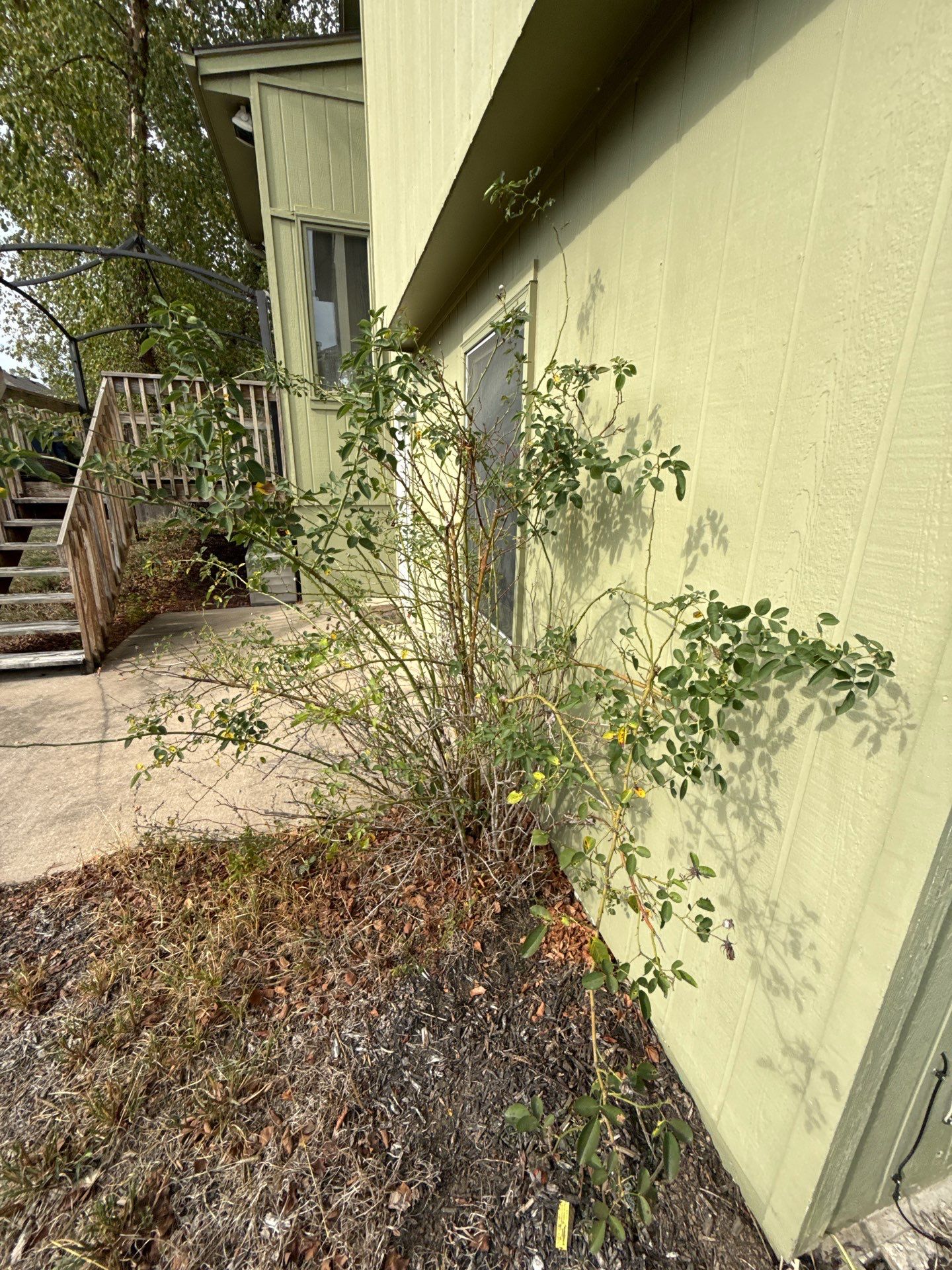 Split Entry in Smokey Ash Craneboard D7 by EEC  Windows, Siding & Roofing 