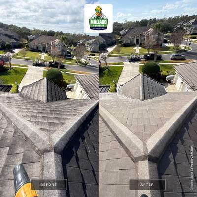 Flat Tile Roof Cleaning