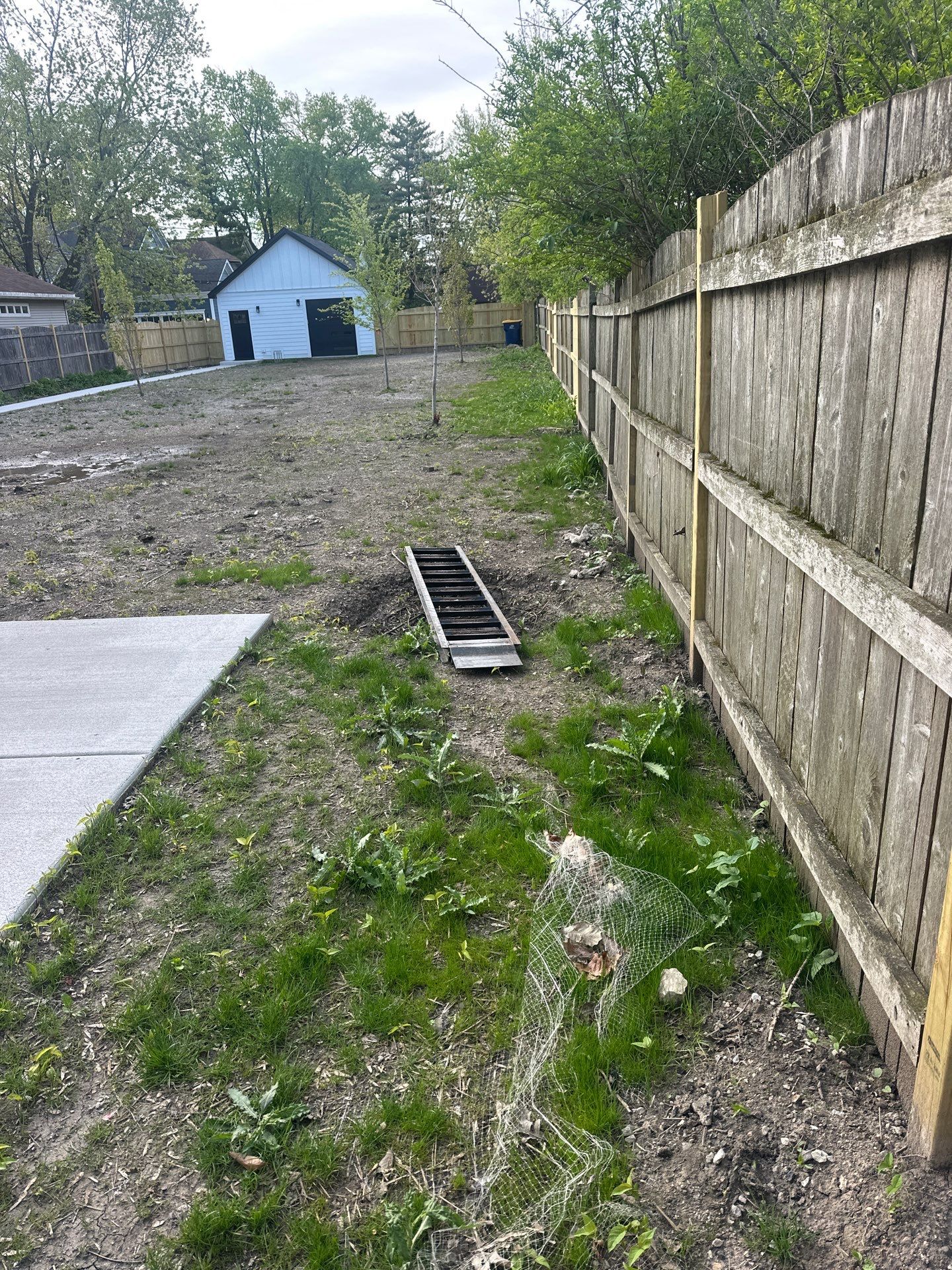 Tom D. - Wilmette, IL by A&N