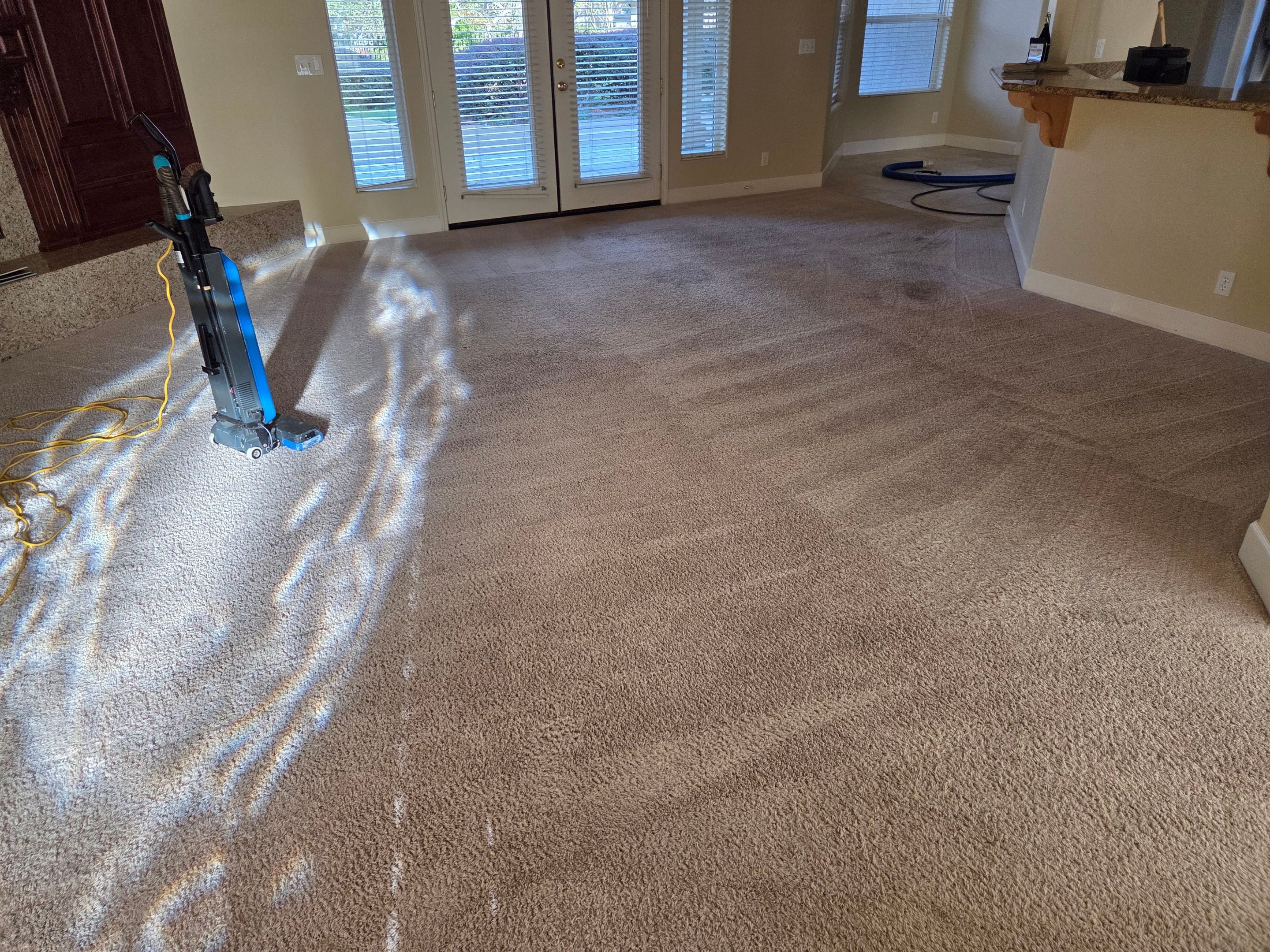 Carpet Cleaning and Stain Removal in Shingle Springs by Ardent Carpet Restore LLC