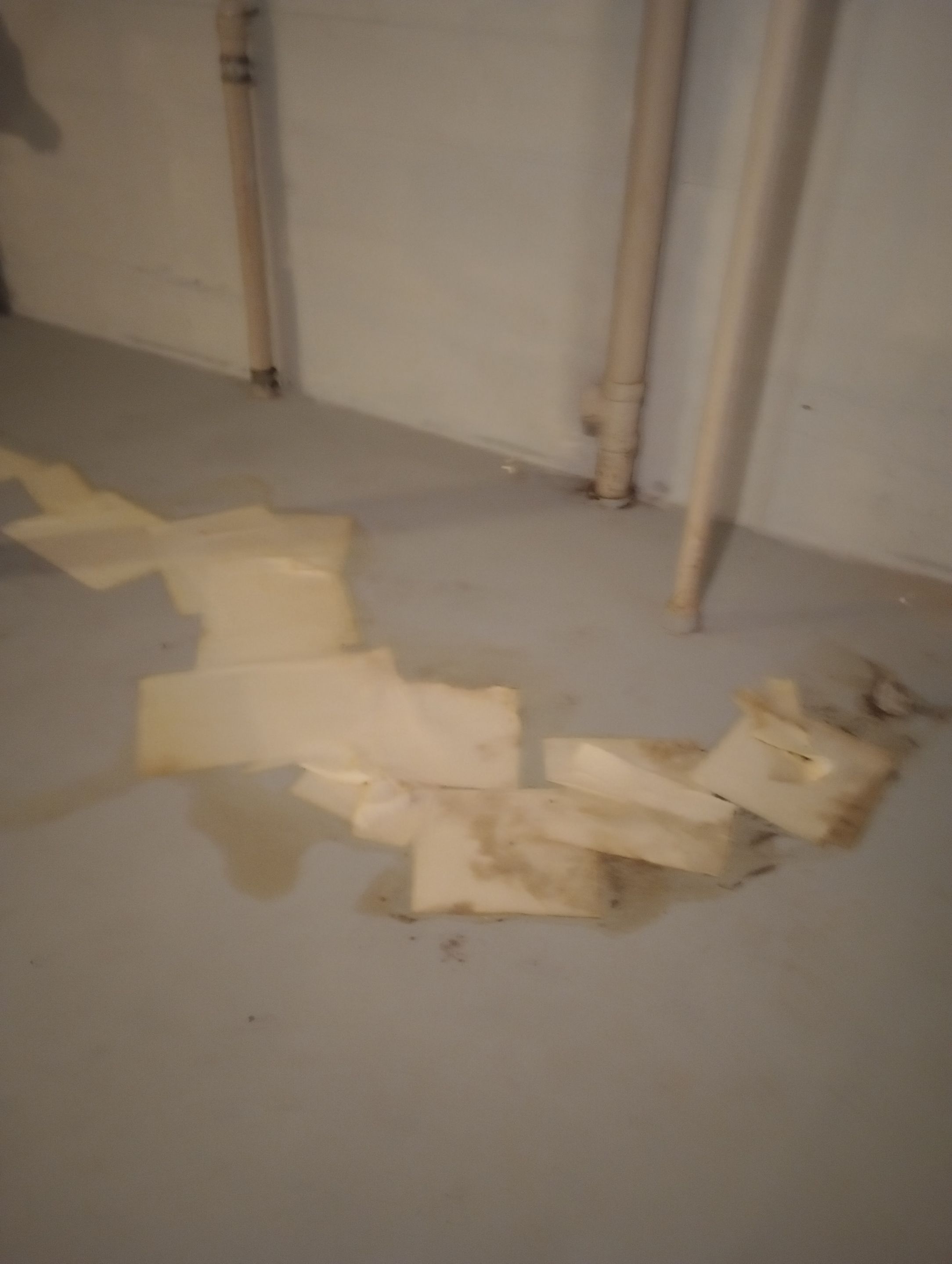 Sewage Clean Up in Louisville, KY by ANR Restoration