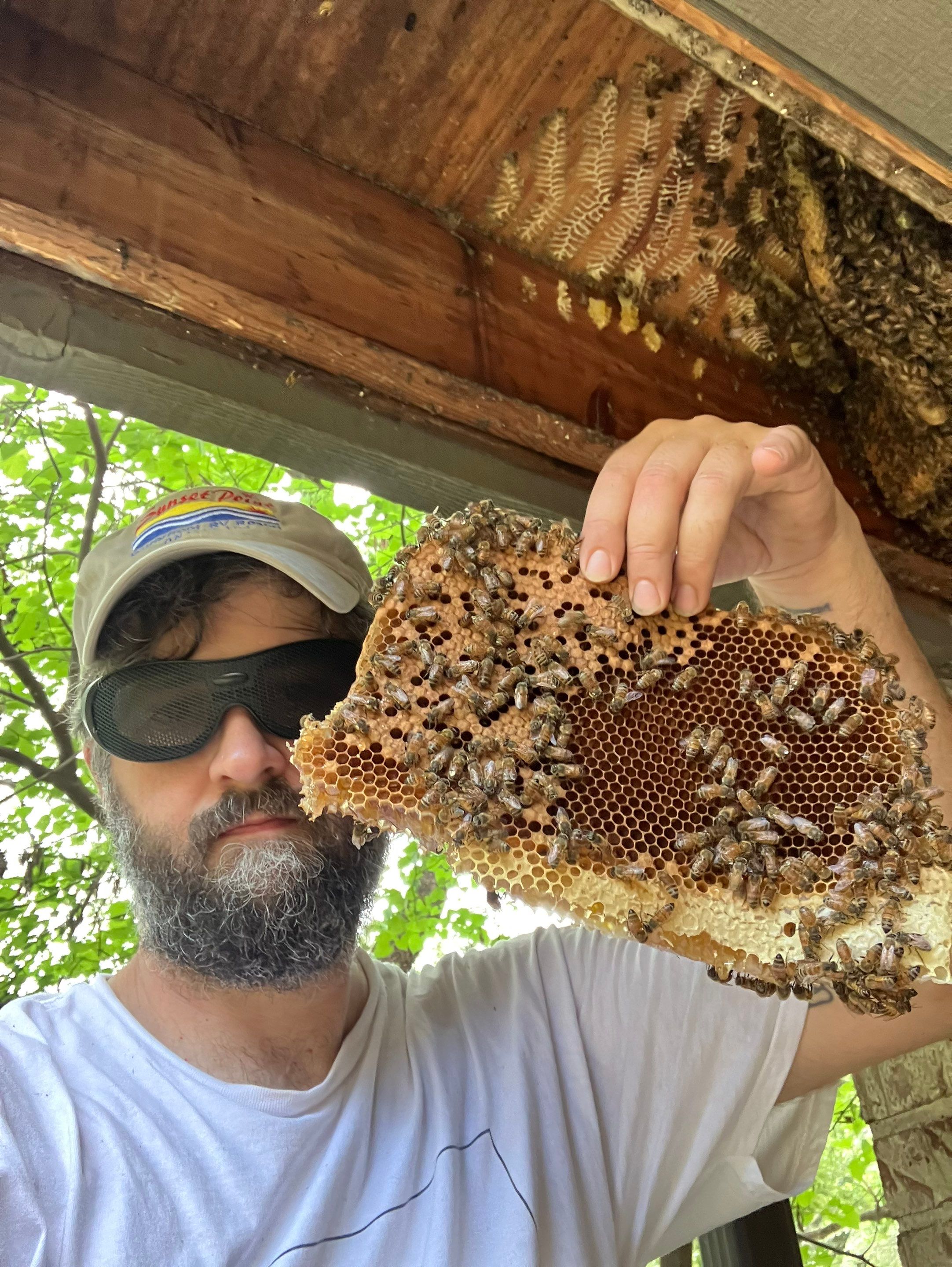 Love this house! by Rockwall Honey Bee Company