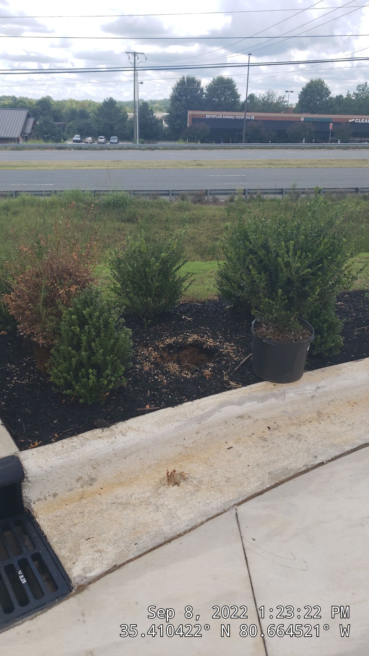 Commercial Landscaping Harris Teeter Fuel Station by Carolina-Metro Landscape, Inc
