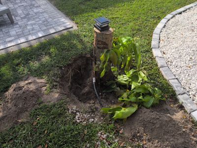 Stump Removal