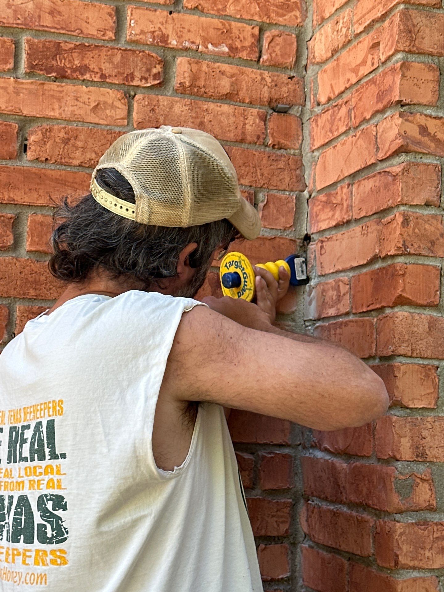 Bees Behind Bricks by Rockwall Honey Bee Company